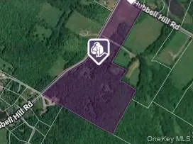 Hubbell Hill Road, Middletown, NY, ,Land,For Rent,Hubbell Hill,0,1027019 Hubbell Hill Road, Middletown, NY, ,Land,For Rent,Hubbell Hill,0,1027019