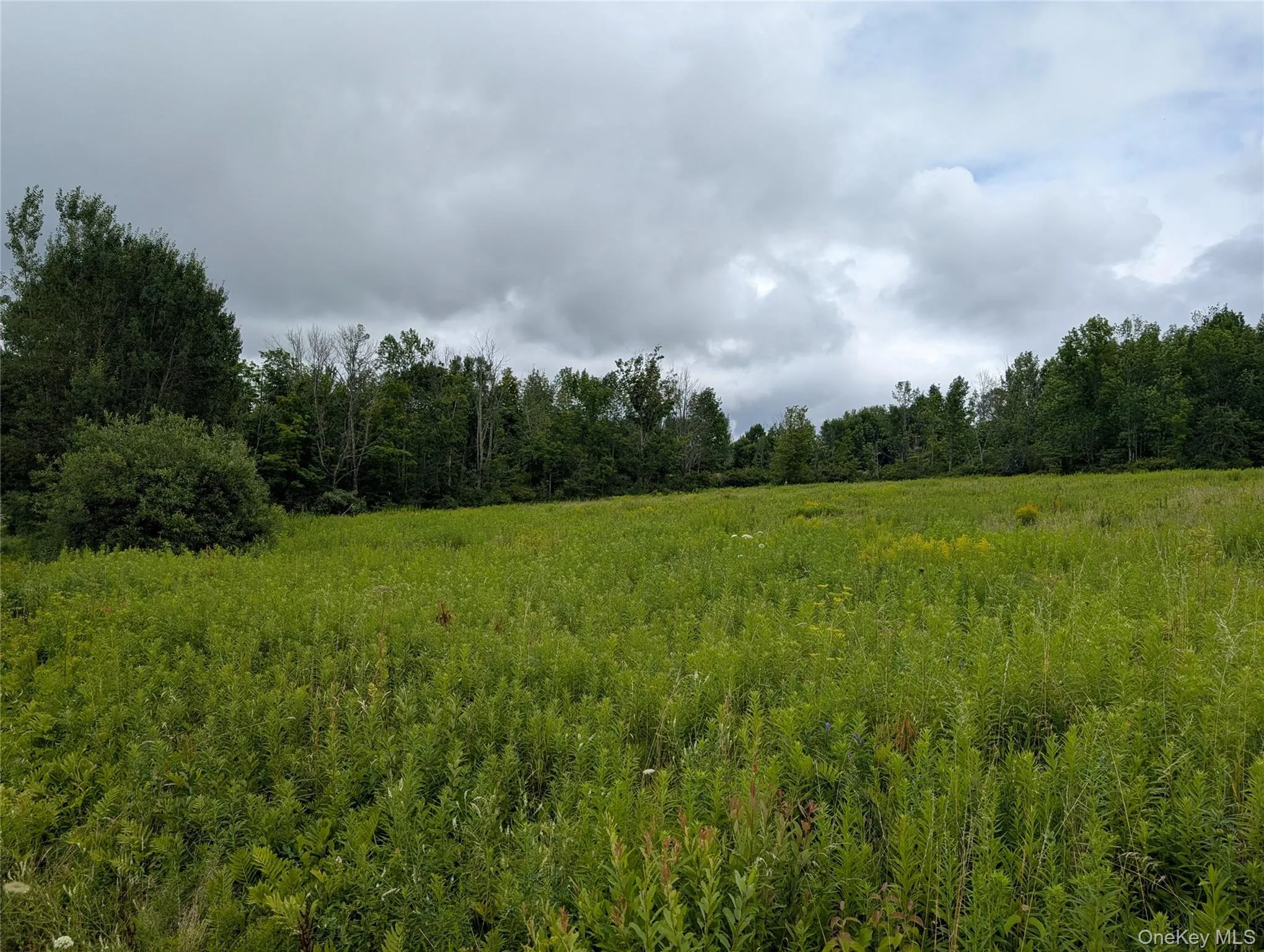 Hubbell Hill Road, Middletown, NY, ,Land,For Rent,Hubbell Hill,0,1027019 Hubbell Hill Road, Middletown, NY, ,Land,For Rent,Hubbell Hill,0,1027019