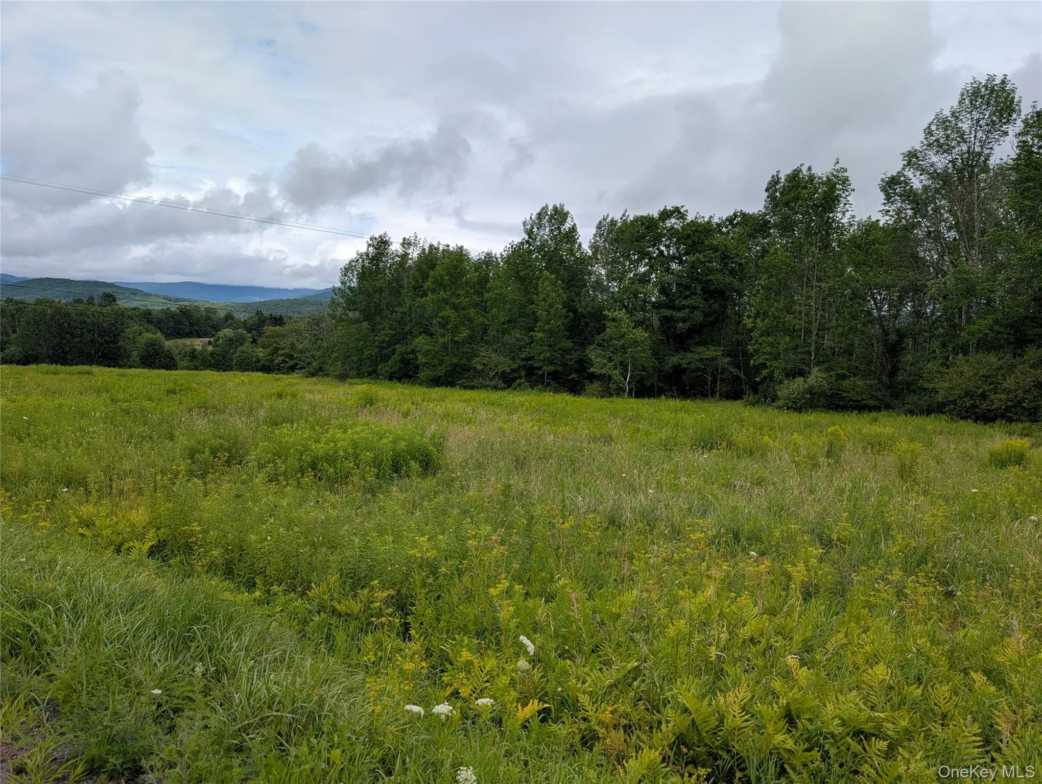 Hubbell Hill Road, Middletown, NY, ,Land,For Rent,Hubbell Hill,0,1027019 Hubbell Hill Road, Middletown, NY, ,Land,For Rent,Hubbell Hill,0,1027019