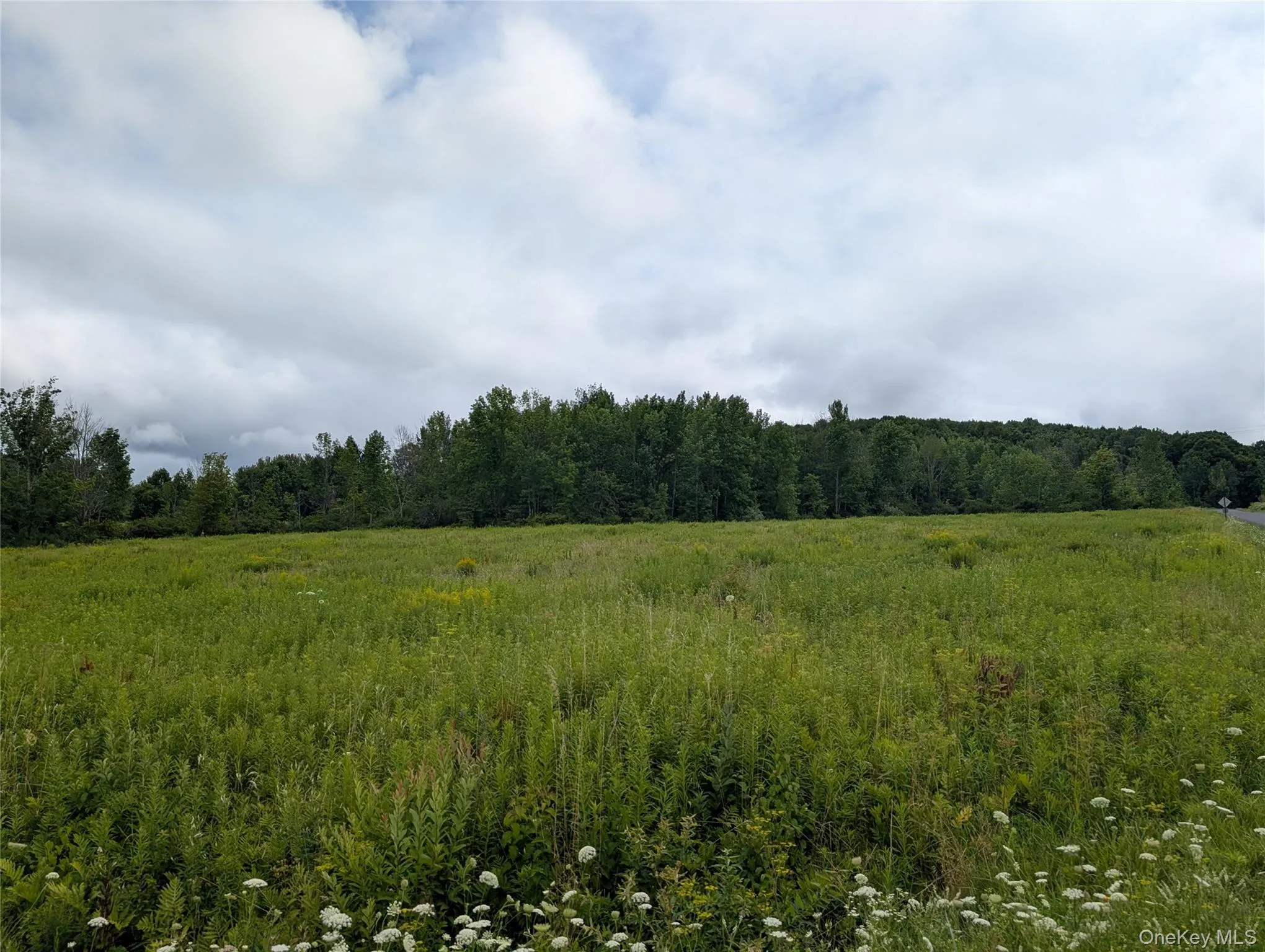 Hubbell Hill Road, Middletown, NY, ,Land,For Rent,Hubbell Hill,0,1027019 Hubbell Hill Road, Middletown, NY, ,Land,For Rent,Hubbell Hill,0,1027019