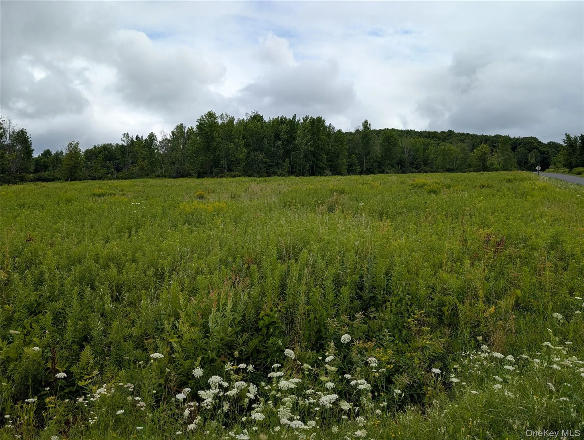 Hubbell Hill Road, Middletown, NY, ,Land,For Rent,Hubbell Hill,0,1027019 Hubbell Hill Road, Middletown, NY, ,Land,For Rent,Hubbell Hill,0,1027019
