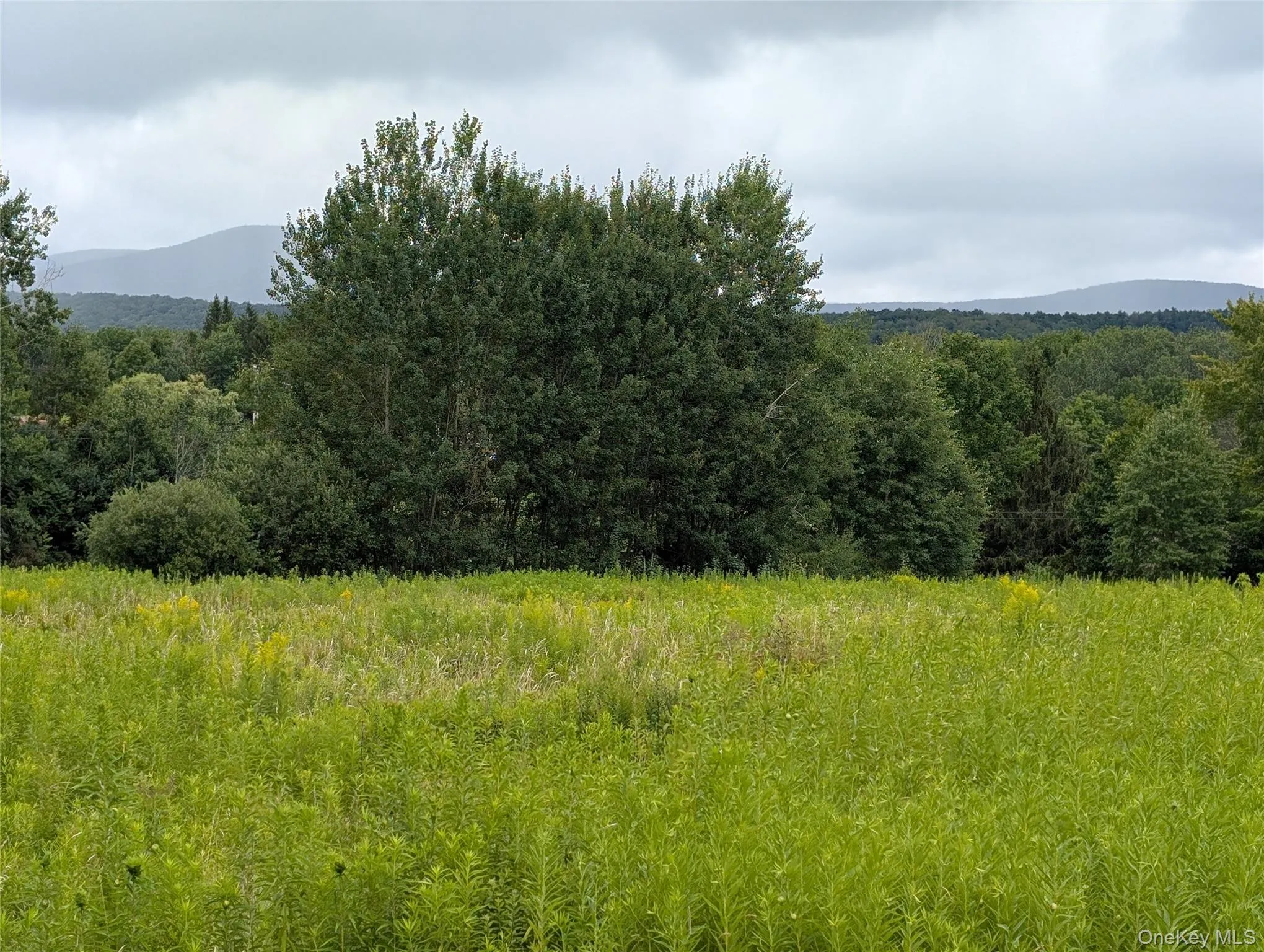 Hubbell Hill Road, Middletown, NY, ,Land,For Rent,Hubbell Hill,0,1027019 Hubbell Hill Road, Middletown, NY, ,Land,For Rent,Hubbell Hill,0,1027019