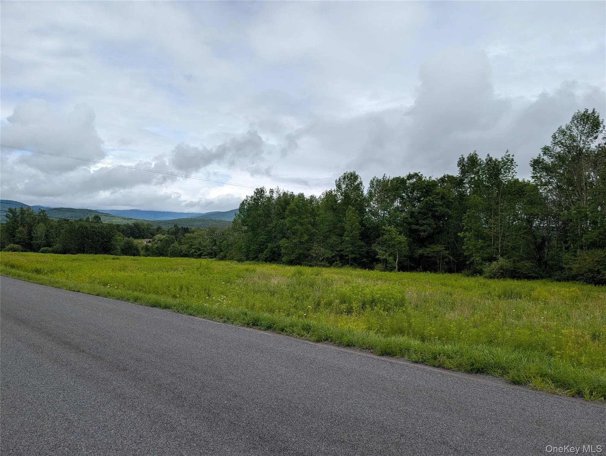 Hubbell Hill Road, Middletown, NY, ,Land,For Rent,Hubbell Hill,0,1027019 Hubbell Hill Road, Middletown, NY, ,Land,For Rent,Hubbell Hill,0,1027019