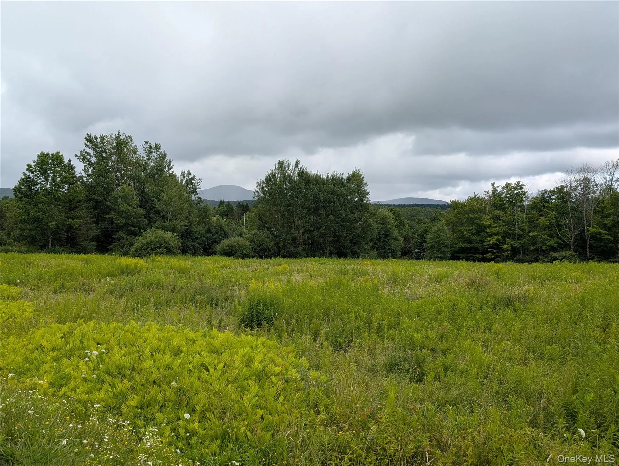 Hubbell Hill Road, Middletown, NY, ,Land,For Rent,Hubbell Hill,0,1027019 Hubbell Hill Road, Middletown, NY, ,Land,For Rent,Hubbell Hill,0,1027019