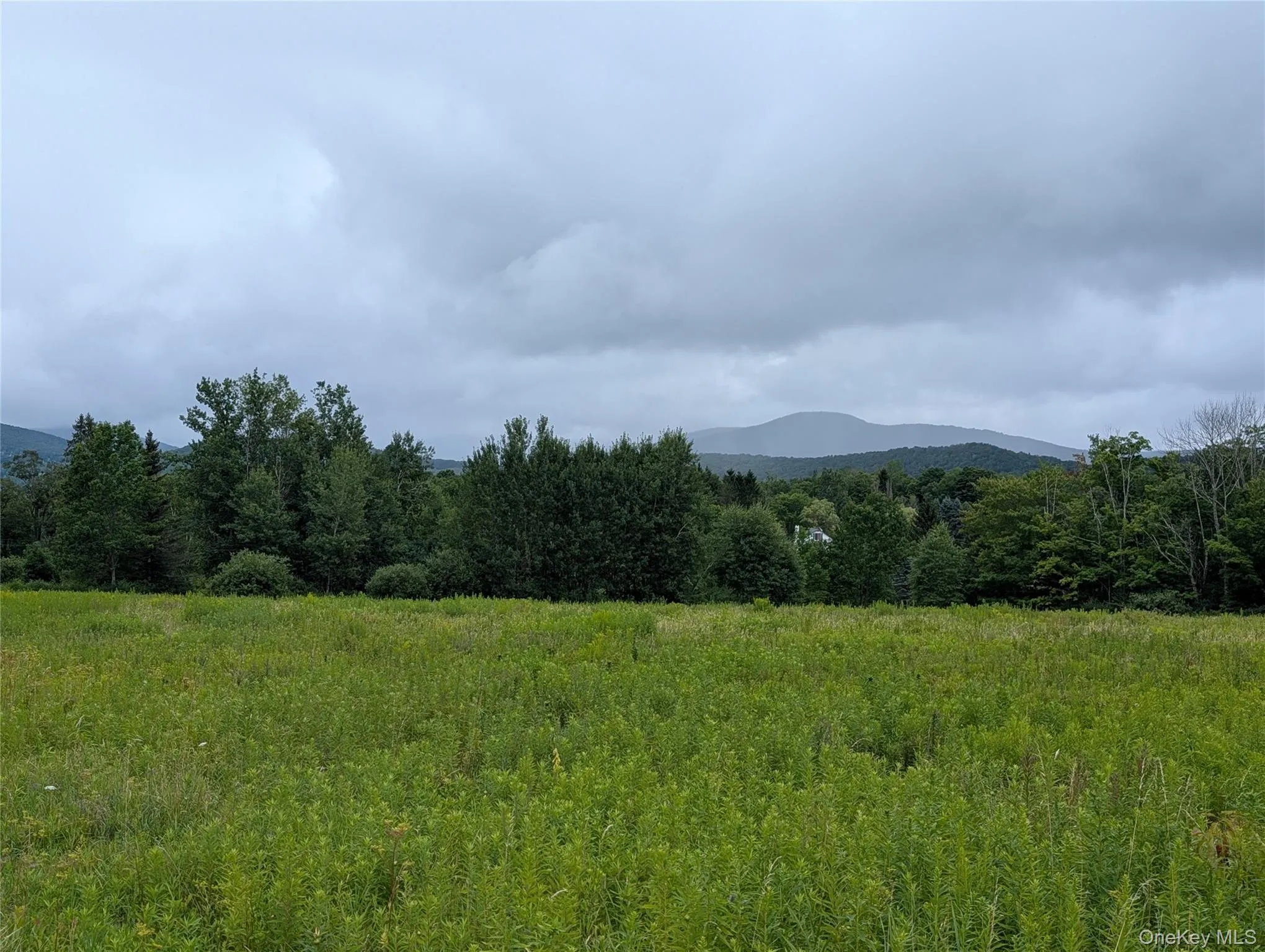 Hubbell Hill Road, Middletown, NY, ,Land,For Rent,Hubbell Hill,0,1027019 Hubbell Hill Road, Middletown, NY, ,Land,For Rent,Hubbell Hill,0,1027019