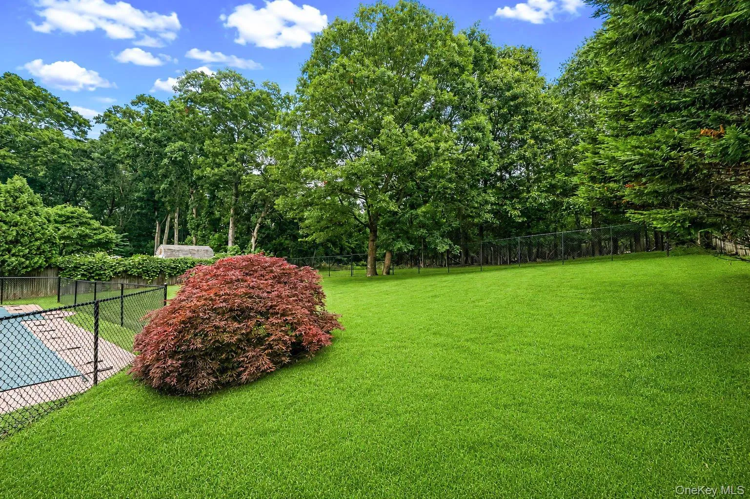 35 Scout Trail, Brookhaven, NY, 4 Bedrooms Bedrooms, 8 Rooms Rooms,3 BathroomsBathrooms,Residential,For Rent,Scout,0,1027036 35 Scout Trail, Brookhaven, NY, 4 Bedrooms Bedrooms, 8 Rooms Rooms,3 BathroomsBathrooms,Residential,For Rent,Scout,0,1027036