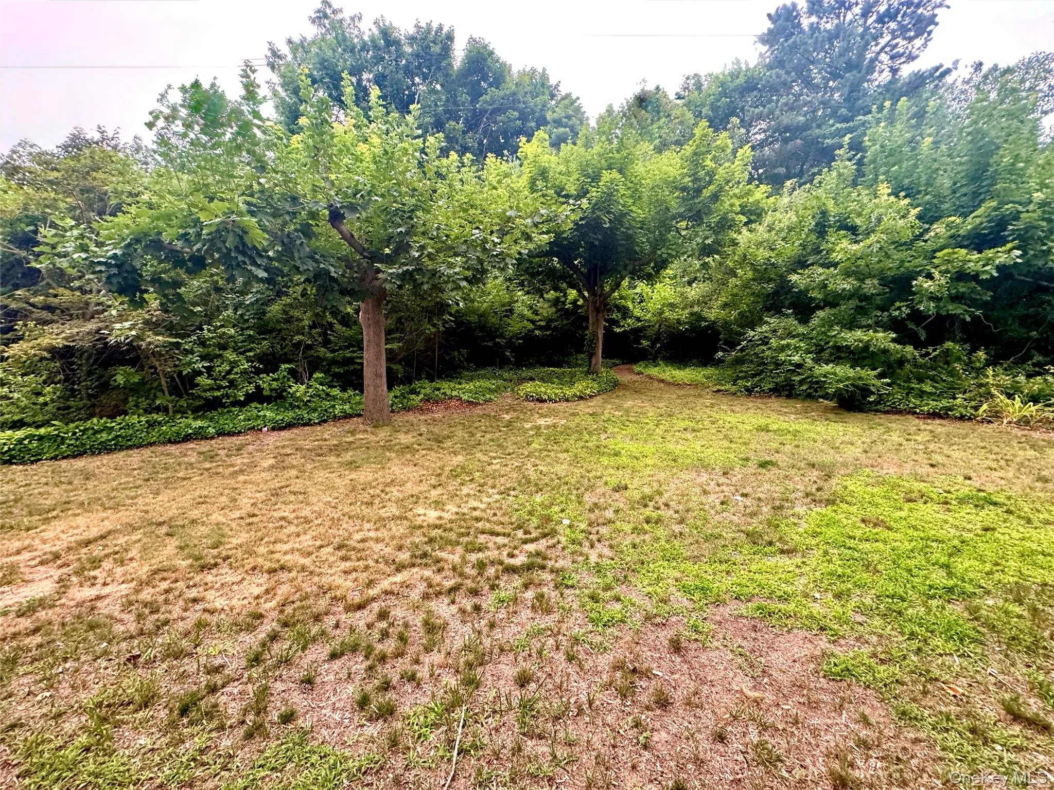 28 Euclid Avenue, Huntington, NY, 3 Bedrooms Bedrooms, 6 Rooms Rooms,2 BathroomsBathrooms,Residential,For Rent,Euclid,0,1027062 28 Euclid Avenue, Huntington, NY, 3 Bedrooms Bedrooms, 6 Rooms Rooms,2 BathroomsBathrooms,Residential,For Rent,Euclid,0,1027062