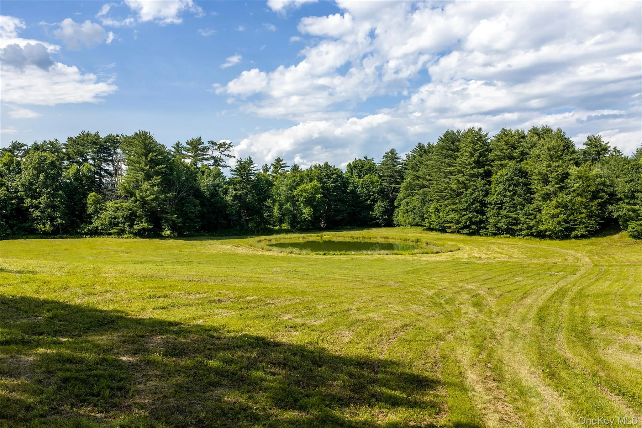 1045 Covered Bridge Road, Sidney, NY, 3 Bedrooms Bedrooms, 9 Rooms Rooms,2 BathroomsBathrooms,Residential,For Rent,Covered Bridge,0,1027071 1045 Covered Bridge Road, Sidney, NY, 3 Bedrooms Bedrooms, 9 Rooms Rooms,2 BathroomsBathrooms,Residential,For Rent,Covered Bridge,0,1027071