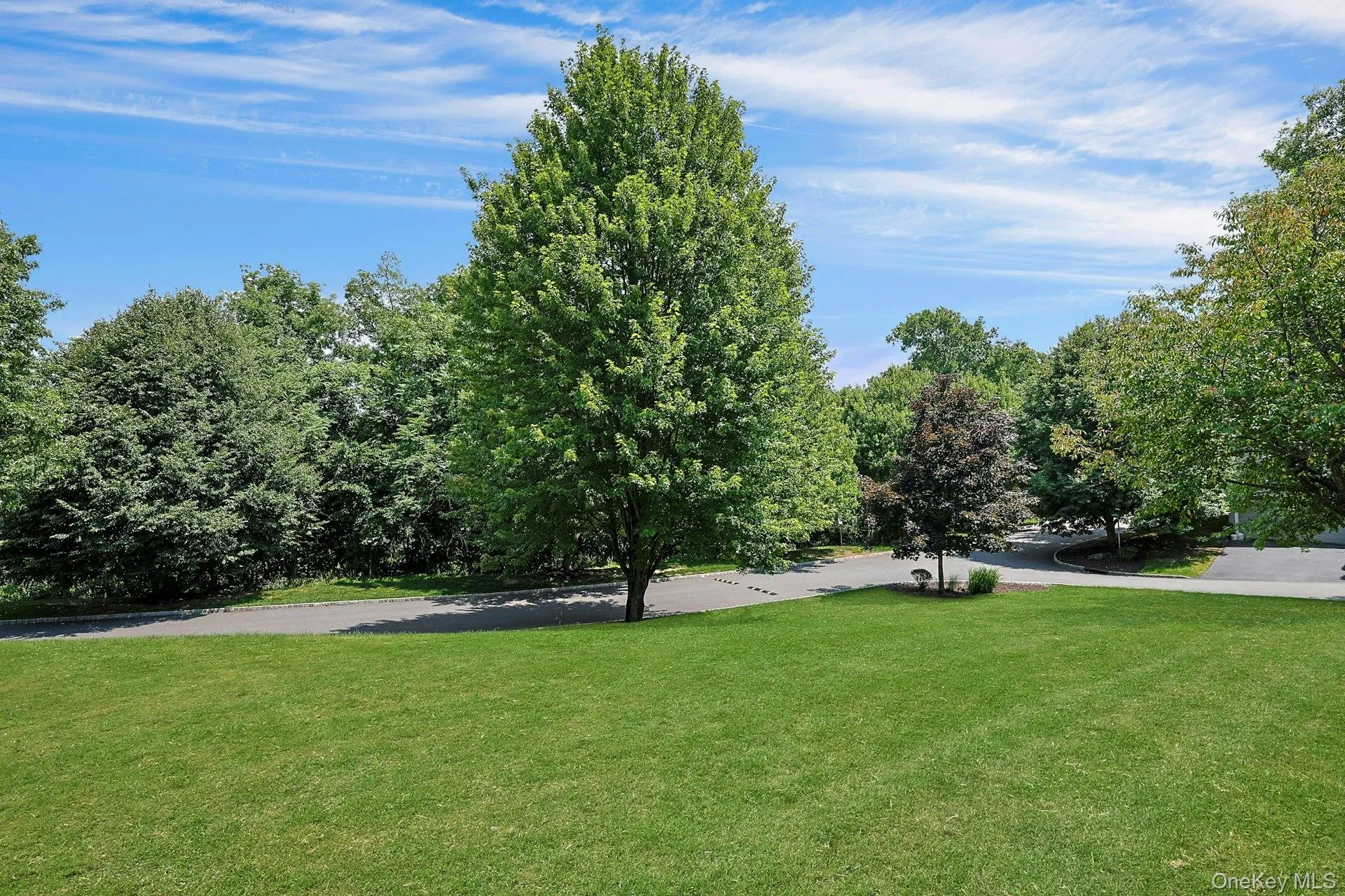 Beautiful open green space with attractive landscaping and trees creating a peaceful setting. Beautiful open green space with attractive landscaping and trees creating a peaceful setting.