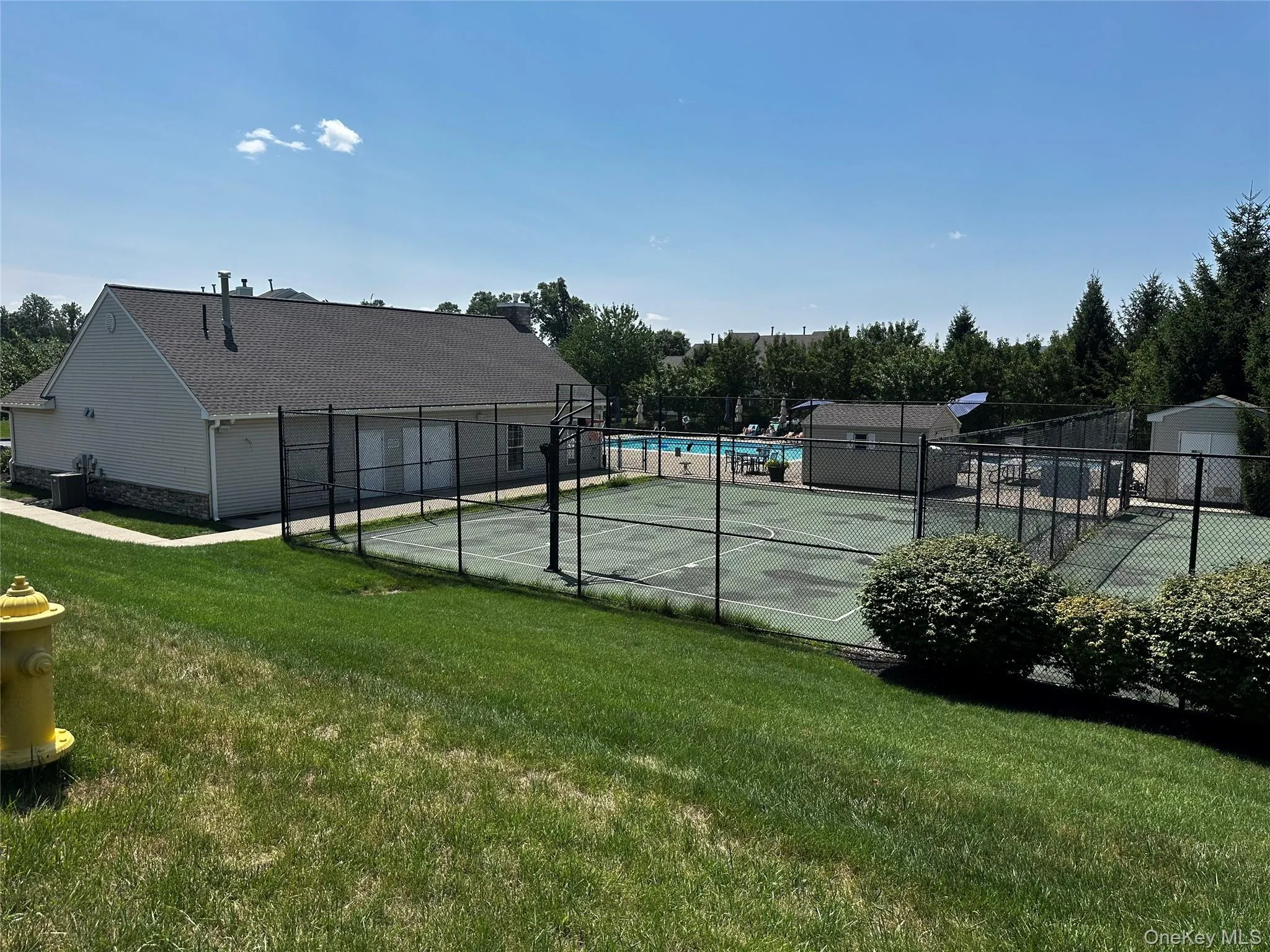 Basketball court! Basketball court!