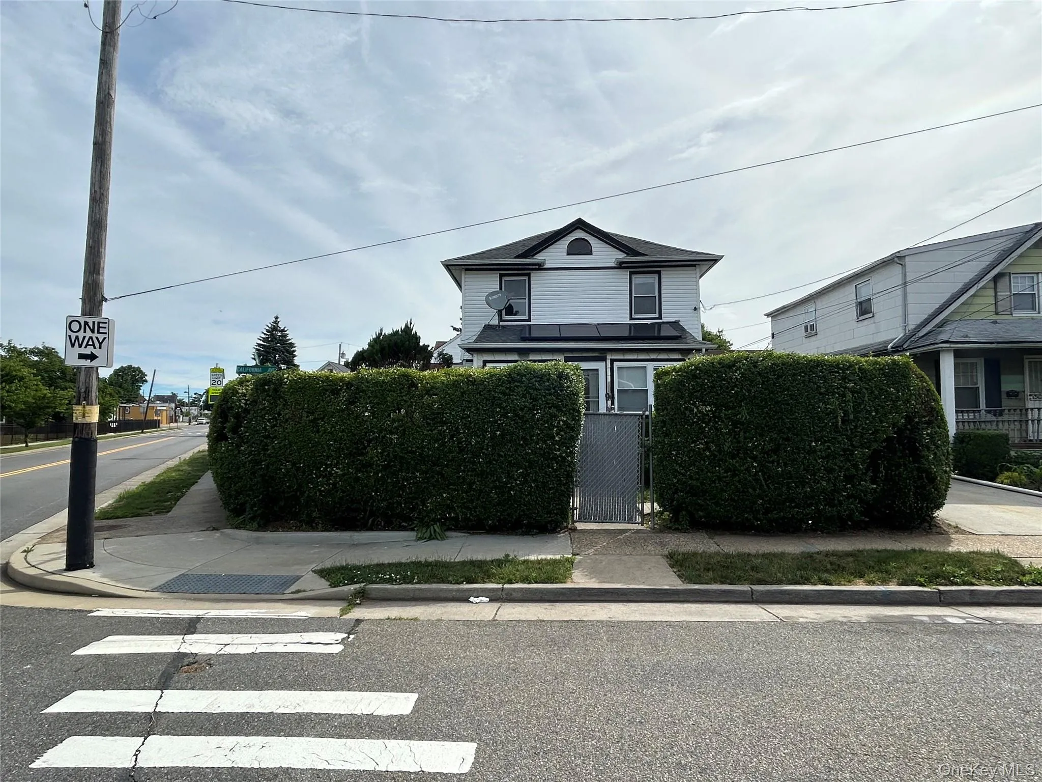 Privacy Hedges Privacy Hedges