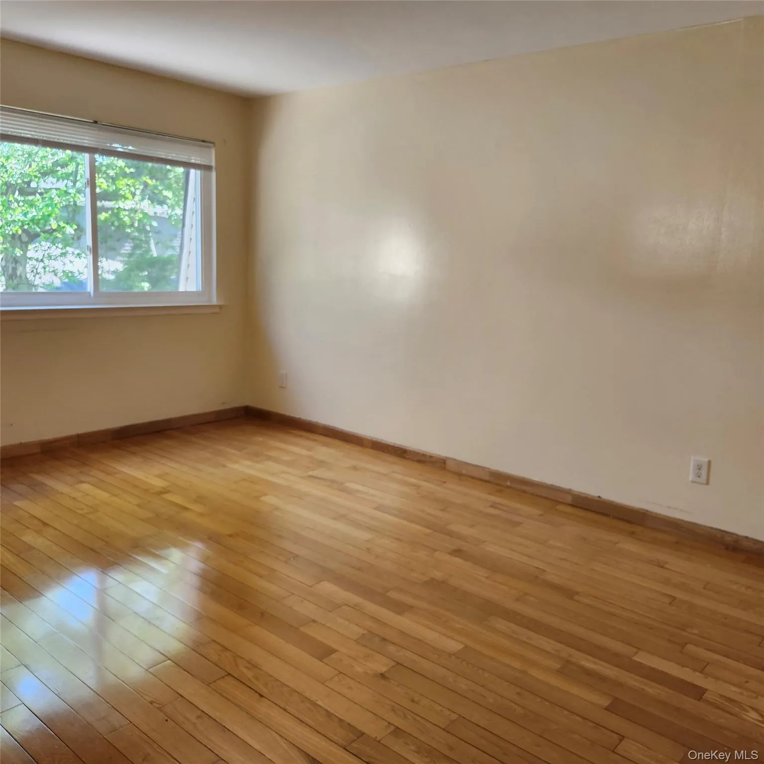 154 Storm Drive, Brookhaven, NY, 2 Bedrooms Bedrooms, 5 Rooms Rooms,1 BathroomBathrooms,Residential Lease,For Rent,Storm,0,1027149 154 Storm Drive, Brookhaven, NY, 2 Bedrooms Bedrooms, 5 Rooms Rooms,1 BathroomBathrooms,Residential Lease,For Rent,Storm,0,1027149