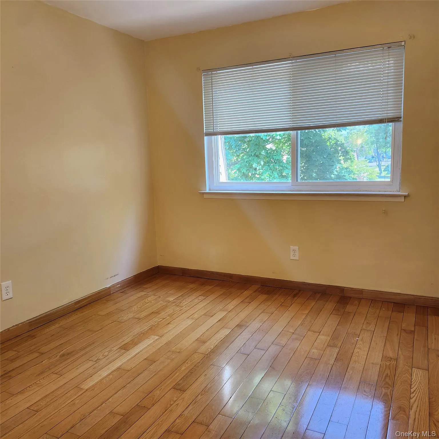 154 Storm Drive, Brookhaven, NY, 2 Bedrooms Bedrooms, 5 Rooms Rooms,1 BathroomBathrooms,Residential Lease,For Rent,Storm,0,1027149 154 Storm Drive, Brookhaven, NY, 2 Bedrooms Bedrooms, 5 Rooms Rooms,1 BathroomBathrooms,Residential Lease,For Rent,Storm,0,1027149