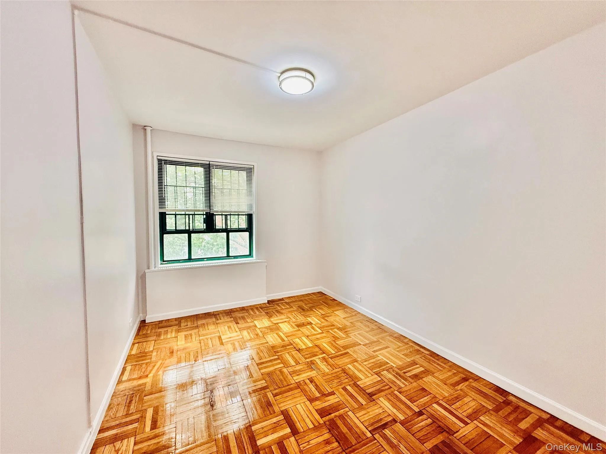 1705 Purdy Street, New York, NY, 3 Bedrooms Bedrooms, 6 Rooms Rooms,1 BathroomBathrooms,Residential,For Rent,Purdy,0,1027153 1705 Purdy Street, New York, NY, 3 Bedrooms Bedrooms, 6 Rooms Rooms,1 BathroomBathrooms,Residential,For Rent,Purdy,0,1027153
