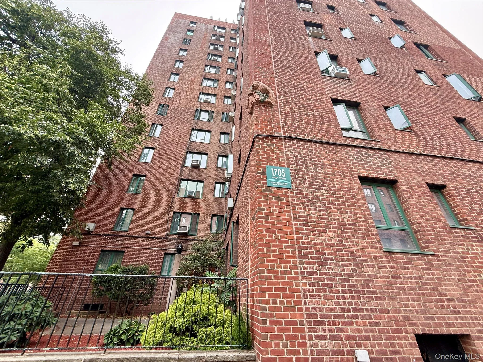 1705 Purdy Street, New York, NY, 3 Bedrooms Bedrooms, 6 Rooms Rooms,1 BathroomBathrooms,Residential,For Rent,Purdy,0,1027153 1705 Purdy Street, New York, NY, 3 Bedrooms Bedrooms, 6 Rooms Rooms,1 BathroomBathrooms,Residential,For Rent,Purdy,0,1027153