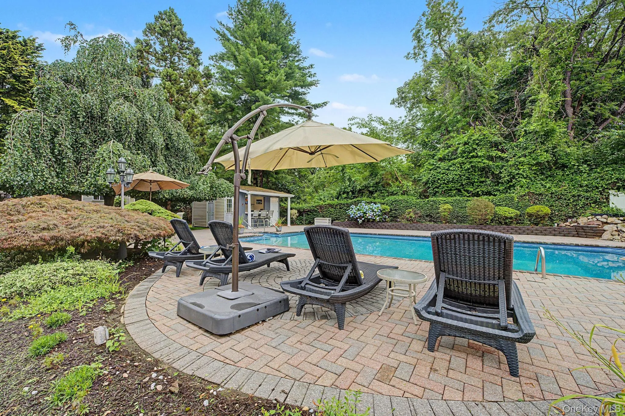 6 Field Daisy Lane, Huntington, NY, 5 Bedrooms Bedrooms, 8 Rooms Rooms,3 BathroomsBathrooms,Residential,For Rent,Field Daisy,0,1027158 6 Field Daisy Lane, Huntington, NY, 5 Bedrooms Bedrooms, 8 Rooms Rooms,3 BathroomsBathrooms,Residential,For Rent,Field Daisy,0,1027158