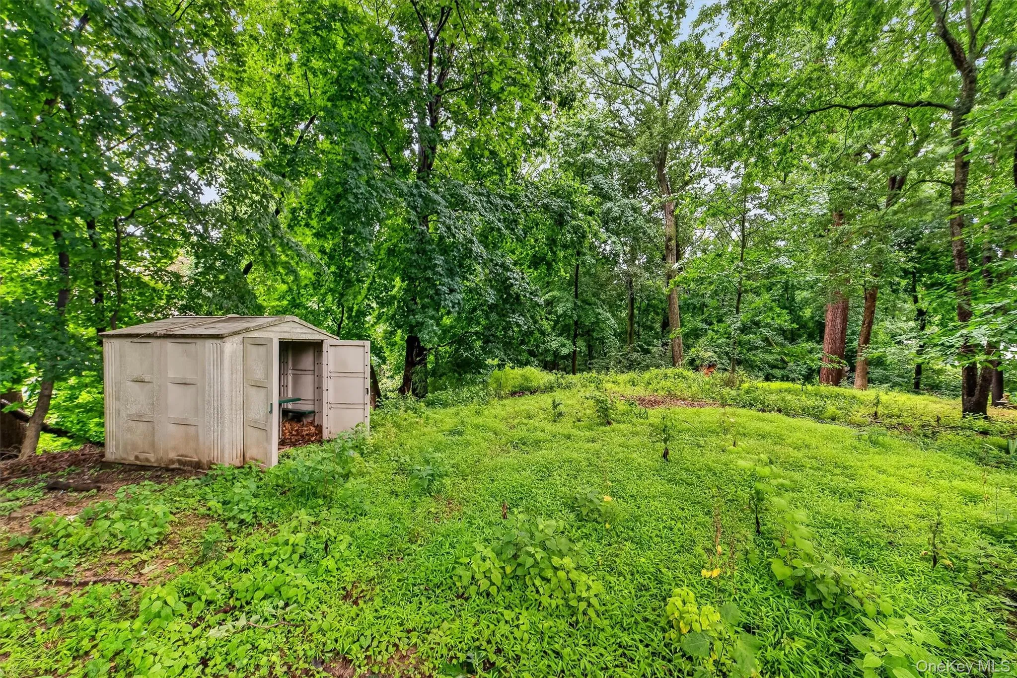 31 Elmore Avenue, Cortlandt, NY, 3 Bedrooms Bedrooms, 8 Rooms Rooms,3 BathroomsBathrooms,Residential,For Rent,Elmore,0,1027175 31 Elmore Avenue, Cortlandt, NY, 3 Bedrooms Bedrooms, 8 Rooms Rooms,3 BathroomsBathrooms,Residential,For Rent,Elmore,0,1027175