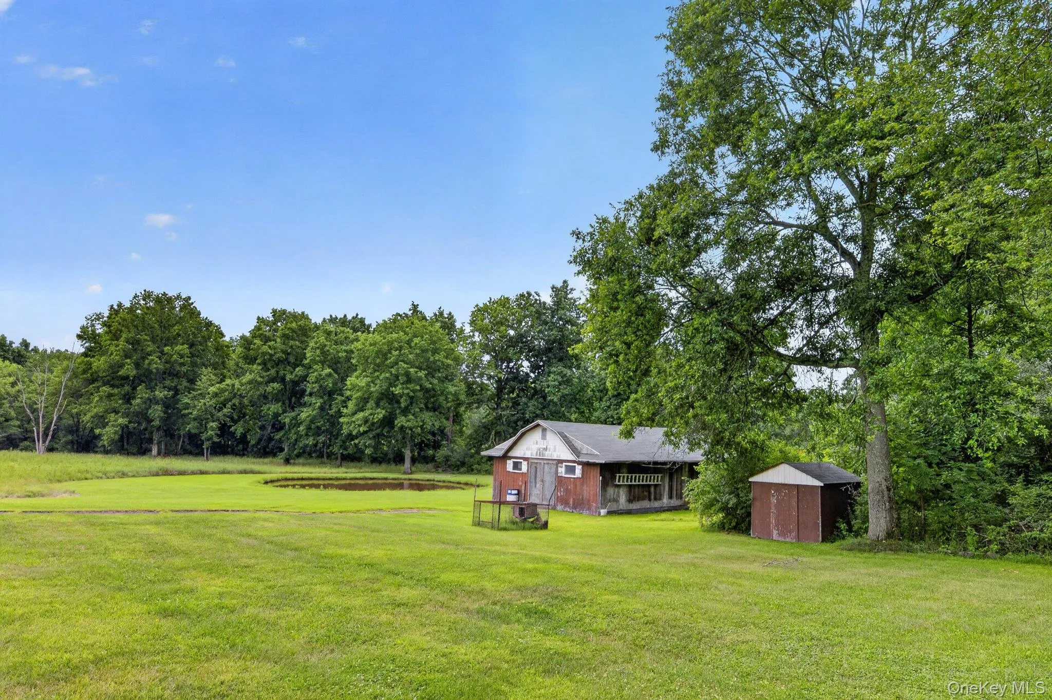 Back yard showing 2 of 3 outbuildings Back yard showing 2 of 3 outbuildings