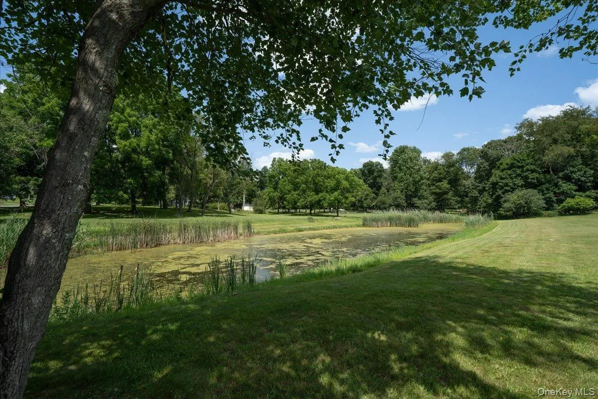 1 Lynn Street, Warwick (town), NY, 3 Bedrooms Bedrooms, 6 Rooms Rooms,2 BathroomsBathrooms,Residential,For Rent,Lynn,0,1027194 1 Lynn Street, Warwick (town), NY, 3 Bedrooms Bedrooms, 6 Rooms Rooms,2 BathroomsBathrooms,Residential,For Rent,Lynn,0,1027194
