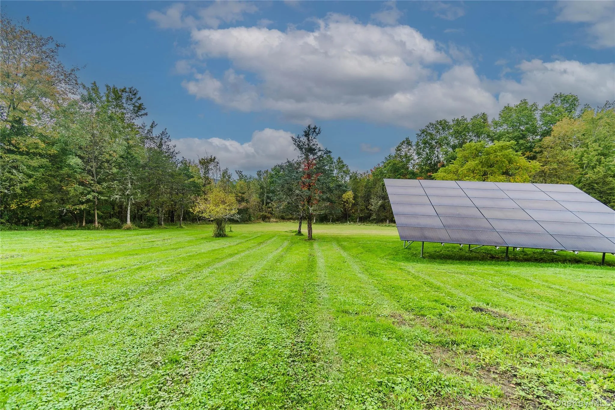 228 Bruynswick Road, Gardiner, NY, 3 Bedrooms Bedrooms, 9 Rooms Rooms,2 BathroomsBathrooms,Residential,For Rent,Bruynswick,0,1027275 228 Bruynswick Road, Gardiner, NY, 3 Bedrooms Bedrooms, 9 Rooms Rooms,2 BathroomsBathrooms,Residential,For Rent,Bruynswick,0,1027275