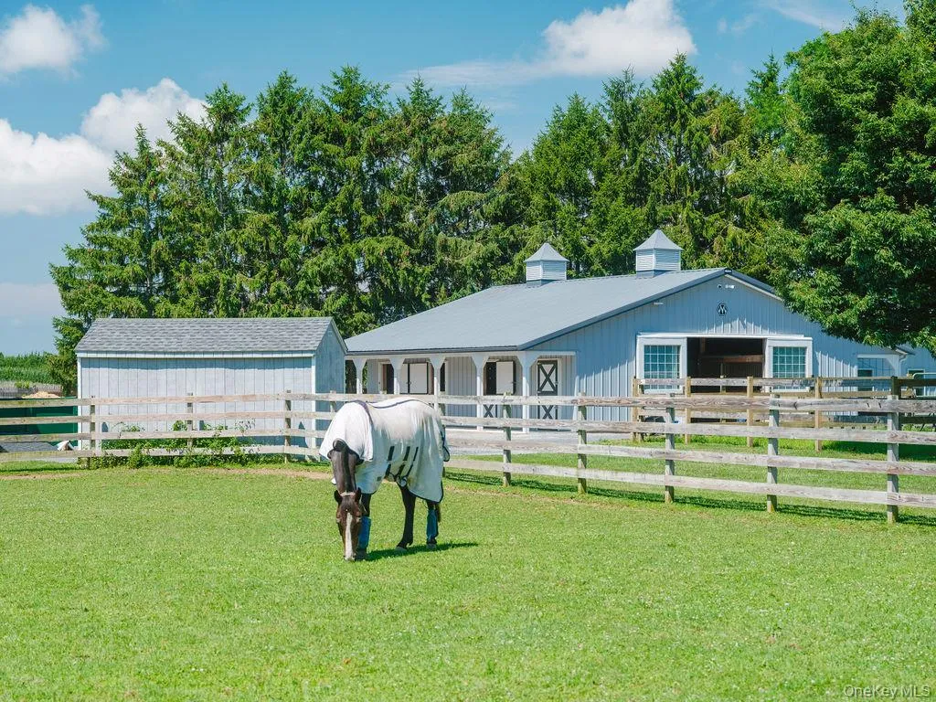 1810 Main Road, Riverhead, NY, 4 Bedrooms Bedrooms, 9 Rooms Rooms,3 BathroomsBathrooms,Residential,For Rent,Main,0,1027302 1810 Main Road, Riverhead, NY, 4 Bedrooms Bedrooms, 9 Rooms Rooms,3 BathroomsBathrooms,Residential,For Rent,Main,0,1027302
