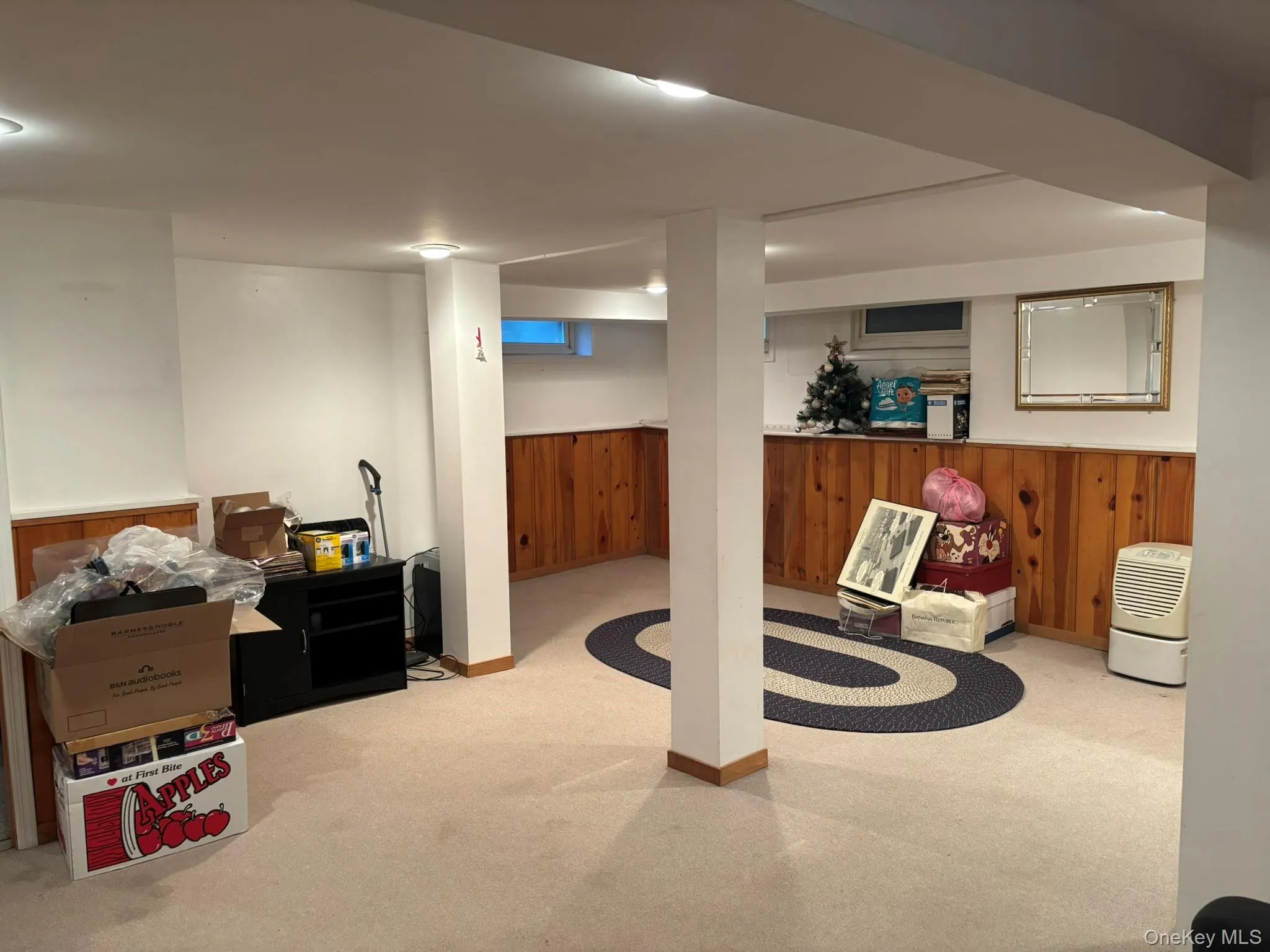 Basement Rec Room Basement Rec Room