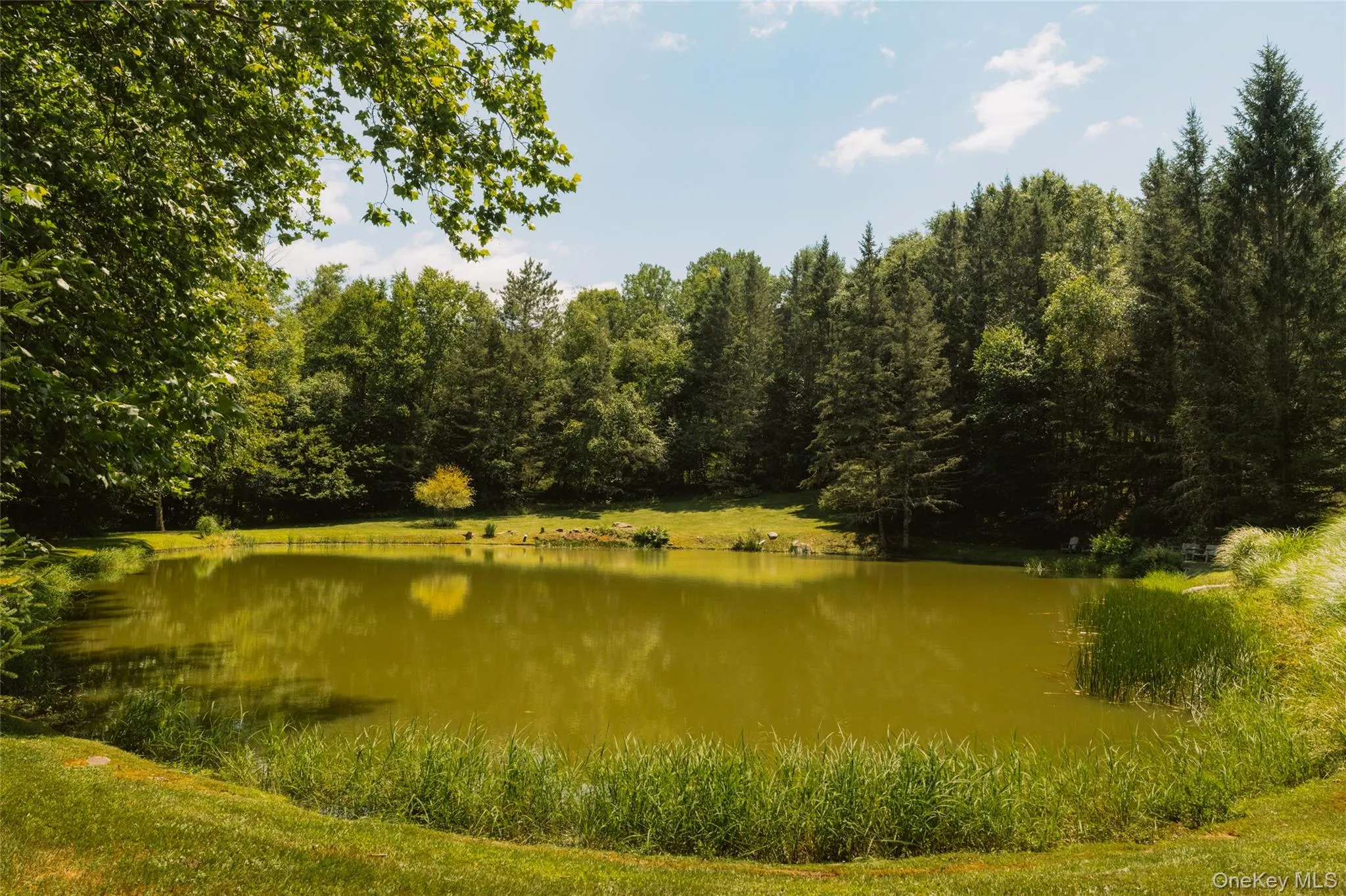 56 Winkelstern Lane, Delaware, NY, 6 Bedrooms Bedrooms, 12 Rooms Rooms,4 BathroomsBathrooms,Residential,For Rent,Winkelstern,0,1027342 56 Winkelstern Lane, Delaware, NY, 6 Bedrooms Bedrooms, 12 Rooms Rooms,4 BathroomsBathrooms,Residential,For Rent,Winkelstern,0,1027342