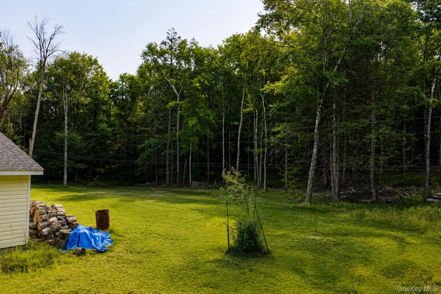 463 Rose Valley Road, Thompson, NY, 5 Bedrooms Bedrooms, 9 Rooms Rooms,2 BathroomsBathrooms,Residential,For Rent,Rose Valley,0,1027386 463 Rose Valley Road, Thompson, NY, 5 Bedrooms Bedrooms, 9 Rooms Rooms,2 BathroomsBathrooms,Residential,For Rent,Rose Valley,0,1027386
