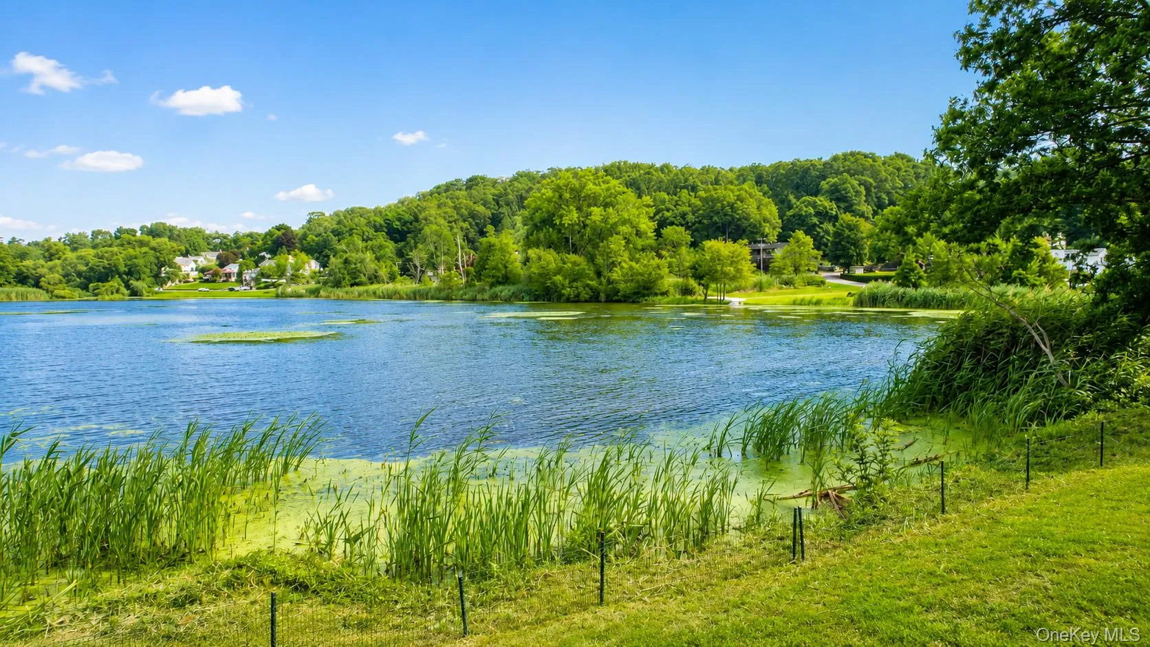 Stroll down the street to Lake Baldwin and enjoy a relaxing picnic or a beautiful sunset by the water Stroll down the street to Lake Baldwin and enjoy a relaxing picnic or a beautiful sunset by the water