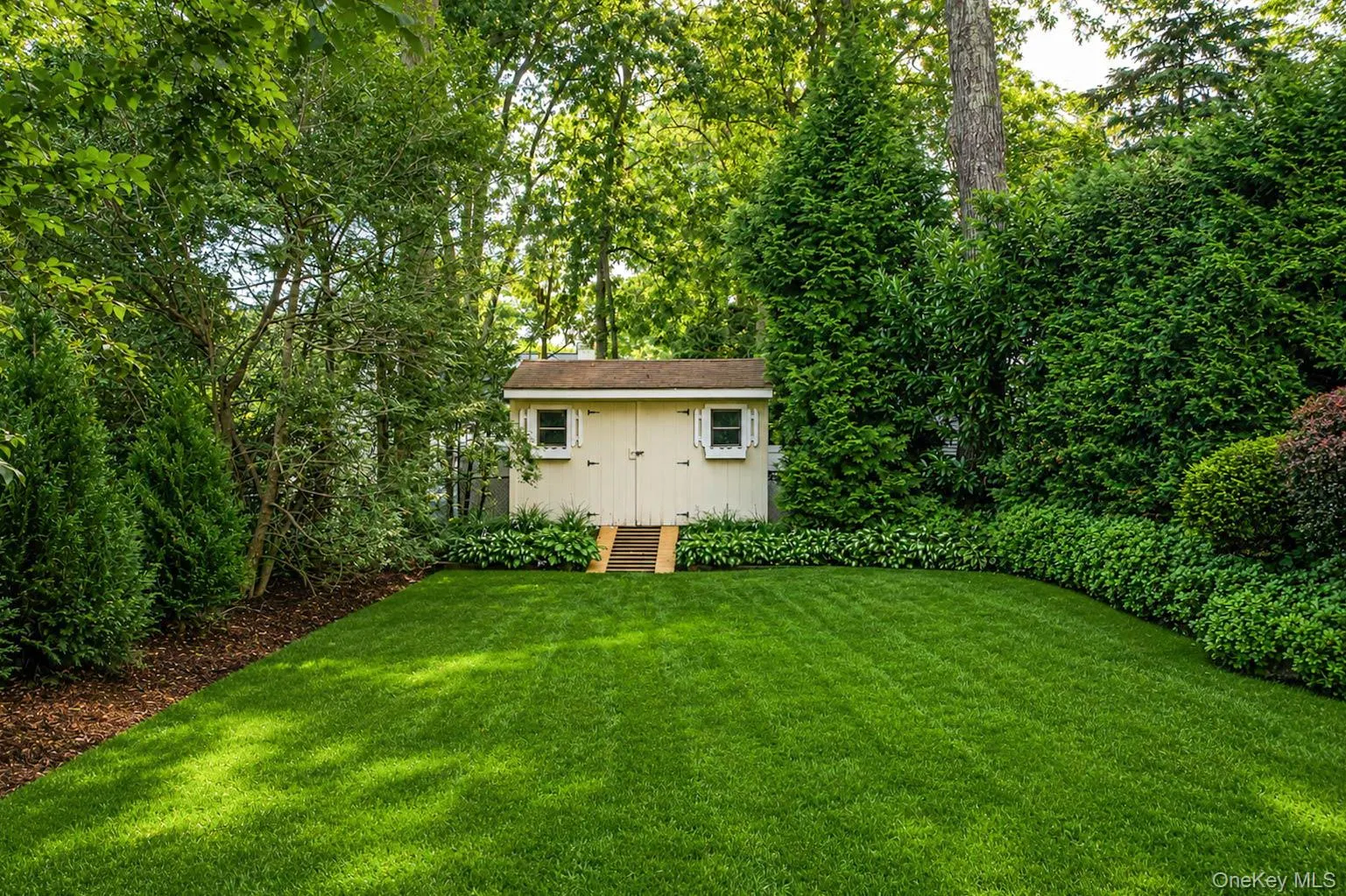 Arborvitae lined for privacy Arborvitae lined for privacy