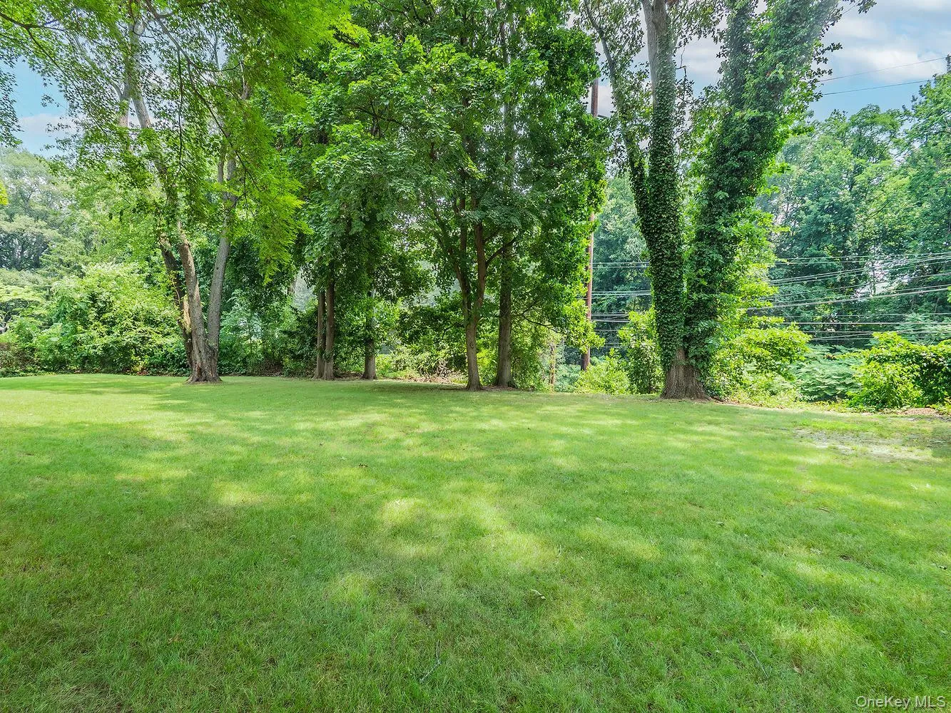 65 Beechwood Drive, Oyster Bay, NY, 4 Bedrooms Bedrooms, 8 Rooms Rooms,2 BathroomsBathrooms,Residential Lease,For Rent,Beechwood,0,1027415 65 Beechwood Drive, Oyster Bay, NY, 4 Bedrooms Bedrooms, 8 Rooms Rooms,2 BathroomsBathrooms,Residential Lease,For Rent,Beechwood,0,1027415