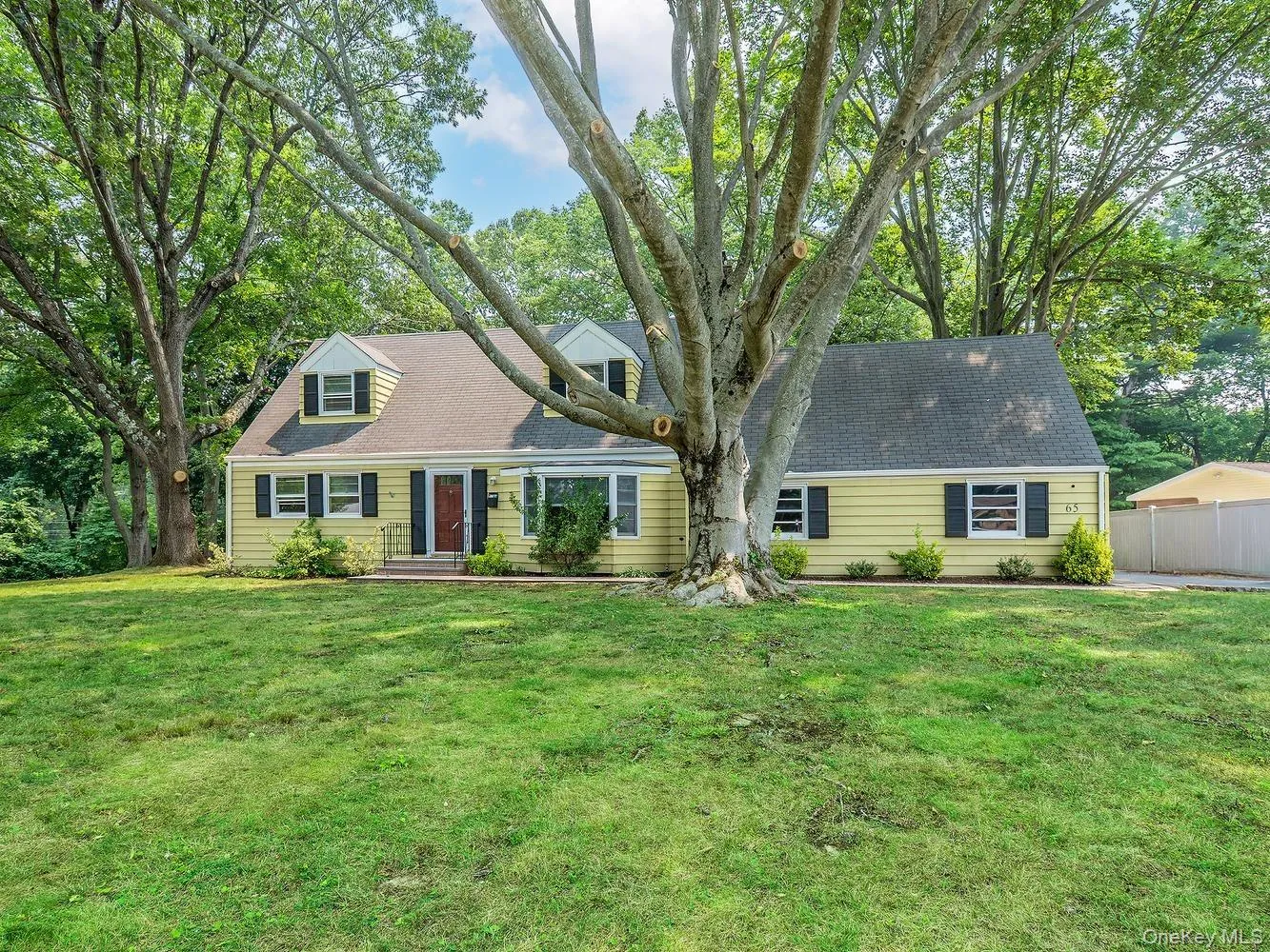 65 Beechwood Drive, Oyster Bay, NY, 4 Bedrooms Bedrooms, 8 Rooms Rooms,2 BathroomsBathrooms,Residential Lease,For Rent,Beechwood,0,1027415 65 Beechwood Drive, Oyster Bay, NY, 4 Bedrooms Bedrooms, 8 Rooms Rooms,2 BathroomsBathrooms,Residential Lease,For Rent,Beechwood,0,1027415