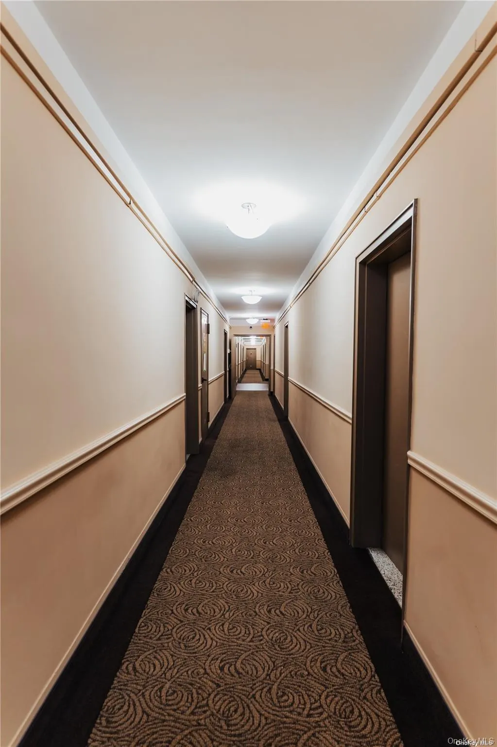 1 East Broadway, Long Beach, NY, 1 Room Rooms,1 BathroomBathrooms,Residential Lease,For Rent,East Broadway,0,1027439 1 East Broadway, Long Beach, NY, 1 Room Rooms,1 BathroomBathrooms,Residential Lease,For Rent,East Broadway,0,1027439