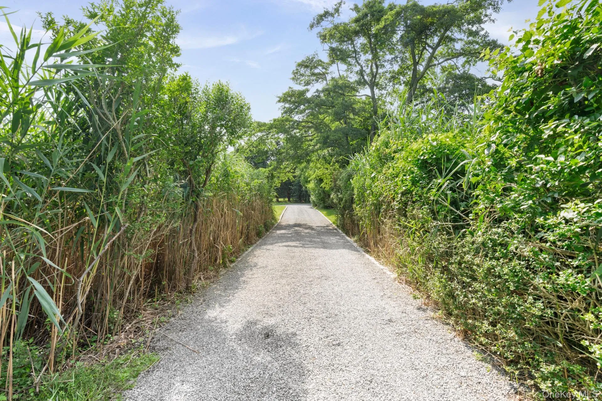 31B Club Lane, Southampton, NY, 4 Bedrooms Bedrooms, 8 Rooms Rooms,3 BathroomsBathrooms,Residential,For Rent,Club,0,1027440 31B Club Lane, Southampton, NY, 4 Bedrooms Bedrooms, 8 Rooms Rooms,3 BathroomsBathrooms,Residential,For Rent,Club,0,1027440