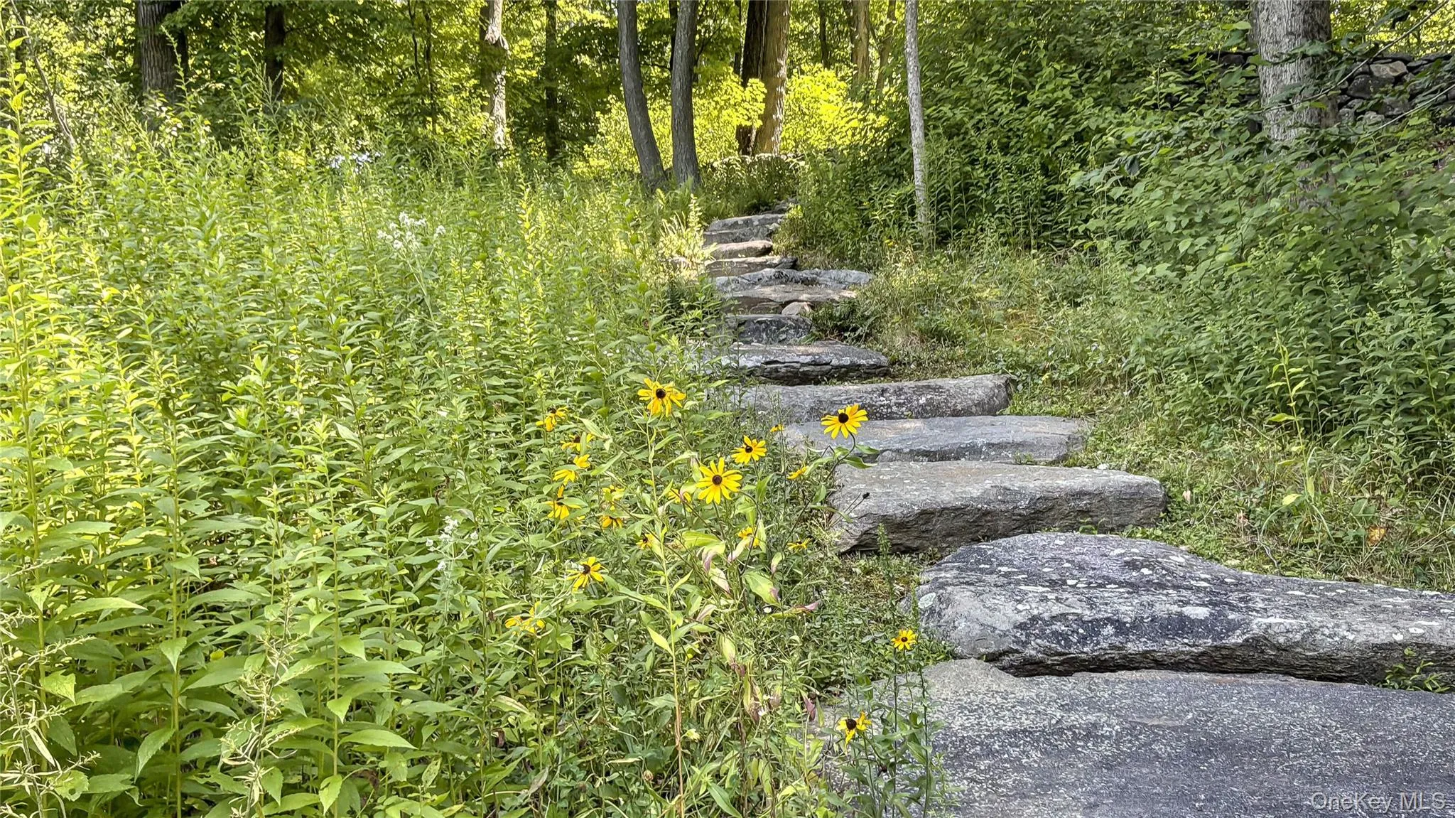 51 Old Stone Hill Road, Pound Ridge, NY, 4 Bedrooms Bedrooms, 10 Rooms Rooms,3 BathroomsBathrooms,Residential,For Rent,Old Stone Hill,0,1027475 51 Old Stone Hill Road, Pound Ridge, NY, 4 Bedrooms Bedrooms, 10 Rooms Rooms,3 BathroomsBathrooms,Residential,For Rent,Old Stone Hill,0,1027475
