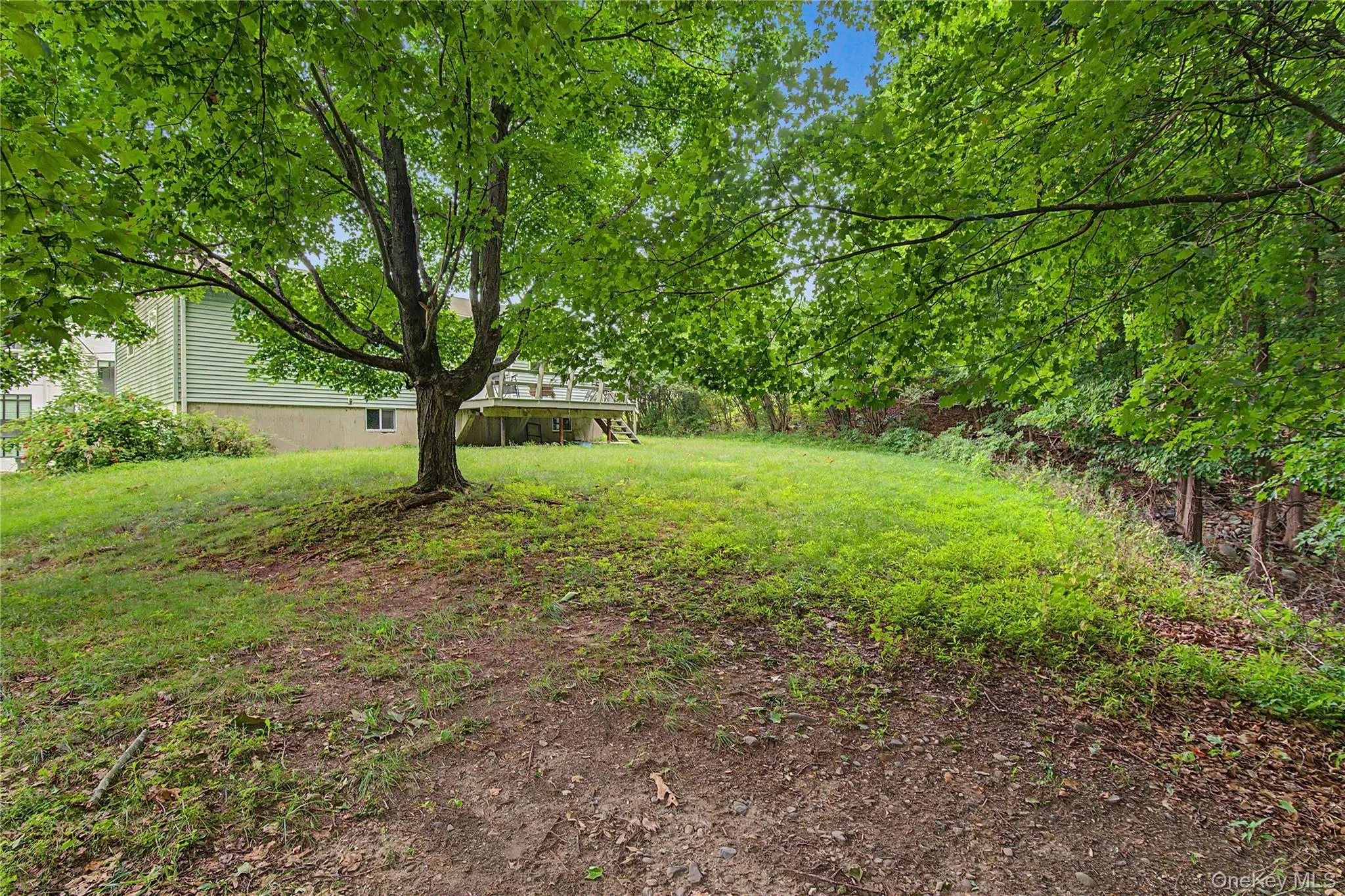 Peaceful backyard surrounded by mature trees and open green space. Peaceful backyard surrounded by mature trees and open green space.