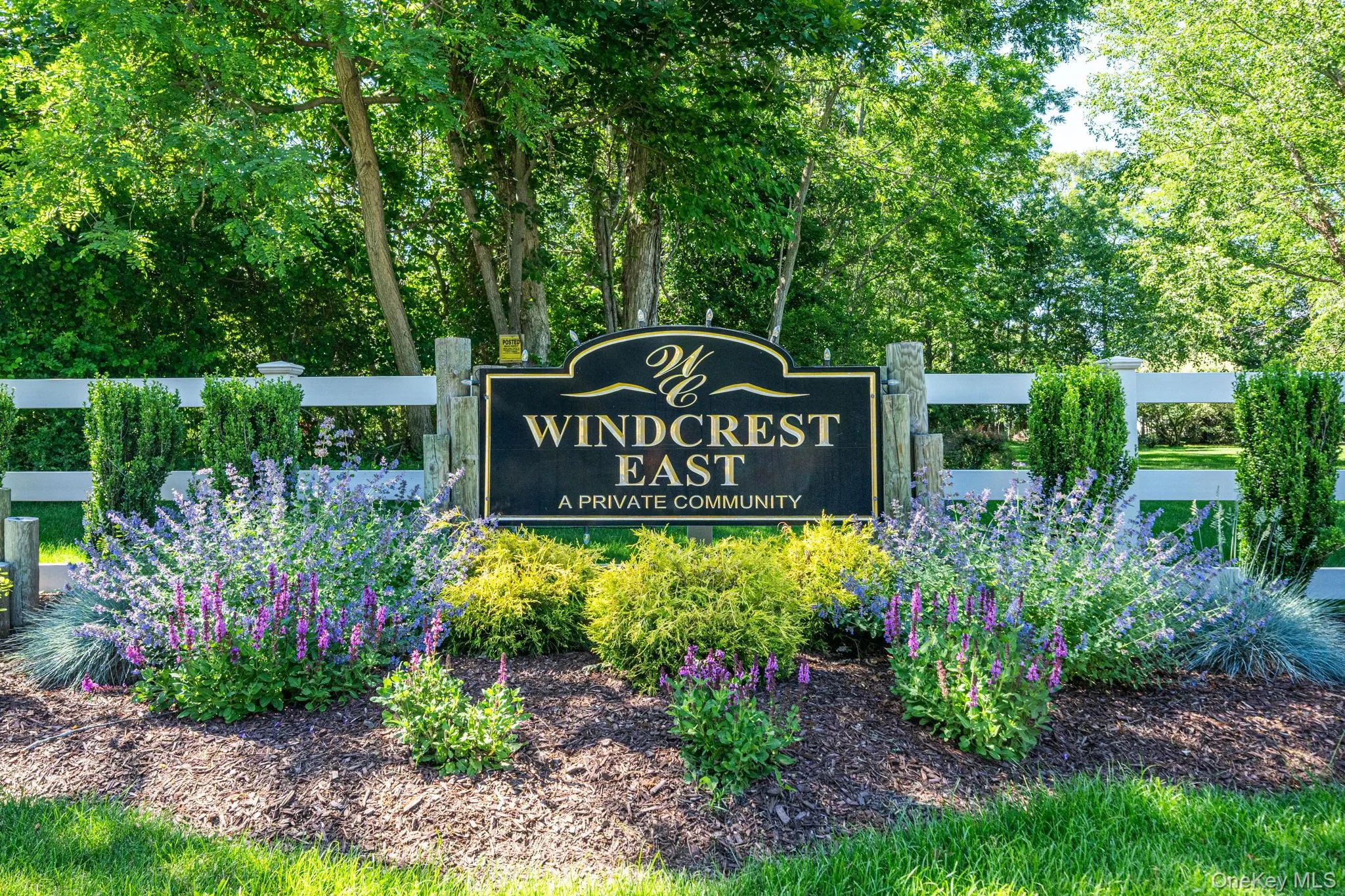 5 Green Ash Street, Riverhead, NY, 3 Bedrooms Bedrooms, 7 Rooms Rooms,3 BathroomsBathrooms,Residential,For Rent,Green Ash,0,1027530 5 Green Ash Street, Riverhead, NY, 3 Bedrooms Bedrooms, 7 Rooms Rooms,3 BathroomsBathrooms,Residential,For Rent,Green Ash,0,1027530