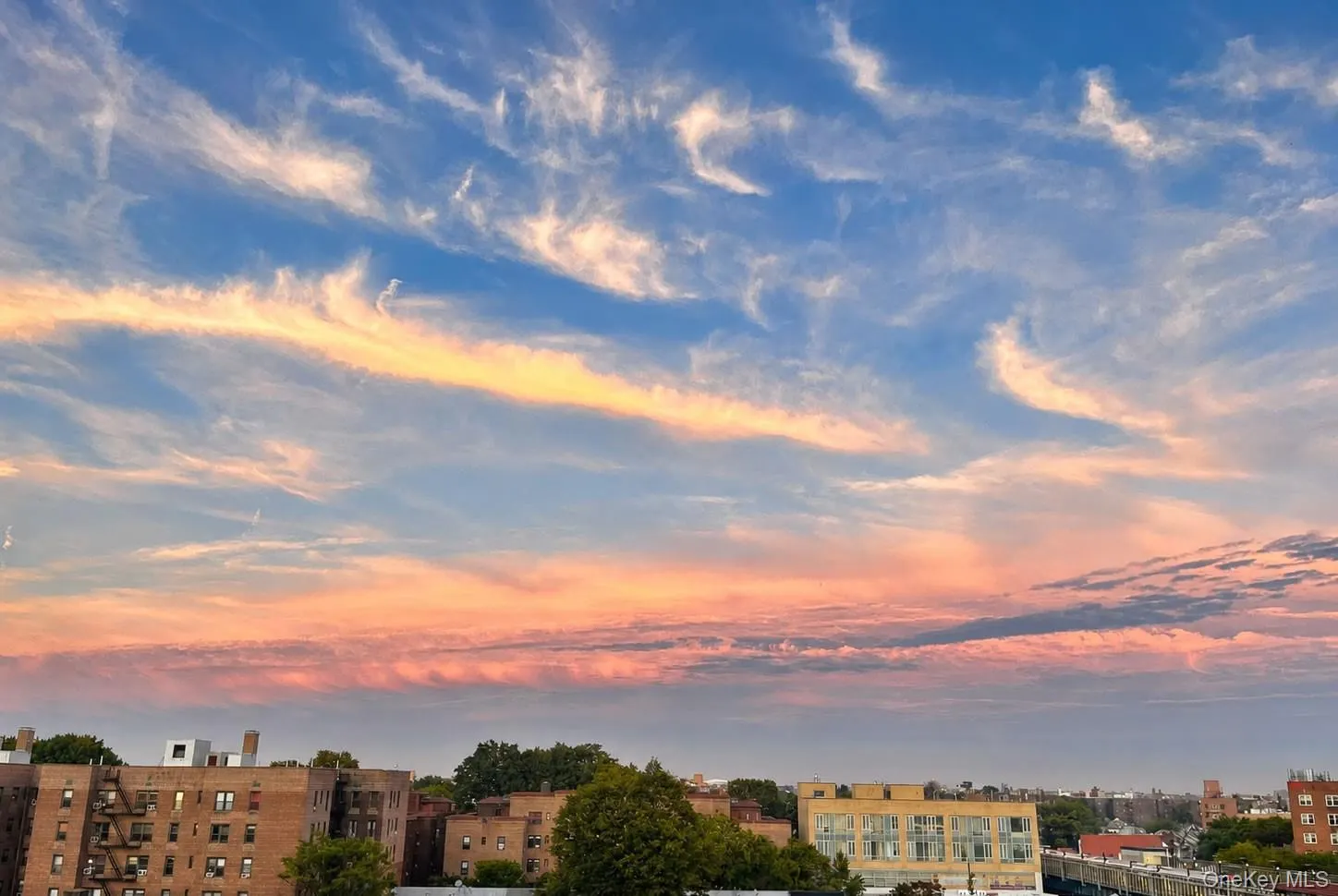 3749 81st Street, New York, NY, 2 Bedrooms Bedrooms, 6 Rooms Rooms,2 BathroomsBathrooms,Residential,For Rent,81st,0,1027532 3749 81st Street, New York, NY, 2 Bedrooms Bedrooms, 6 Rooms Rooms,2 BathroomsBathrooms,Residential,For Rent,81st,0,1027532