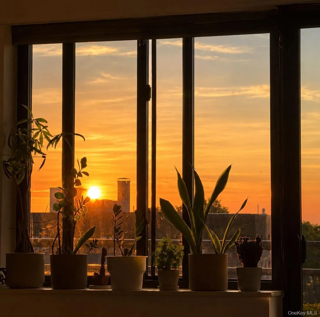 3749 81st Street, New York, NY, 2 Bedrooms Bedrooms, 6 Rooms Rooms,2 BathroomsBathrooms,Residential,For Rent,81st,0,1027532 3749 81st Street, New York, NY, 2 Bedrooms Bedrooms, 6 Rooms Rooms,2 BathroomsBathrooms,Residential,For Rent,81st,0,1027532
