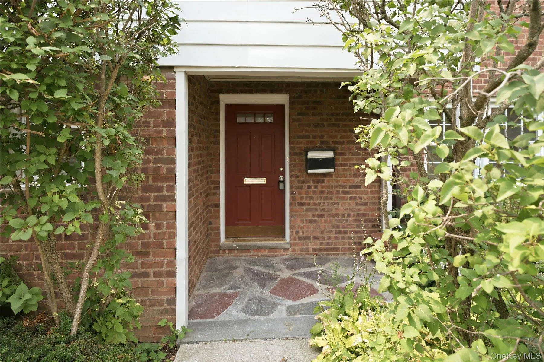 117 Robins Road, New Rochelle, NY, 2 Bedrooms Bedrooms, 4 Rooms Rooms,1 BathroomBathrooms,Residential,For Rent,Robins,0,1027552 117 Robins Road, New Rochelle, NY, 2 Bedrooms Bedrooms, 4 Rooms Rooms,1 BathroomBathrooms,Residential,For Rent,Robins,0,1027552