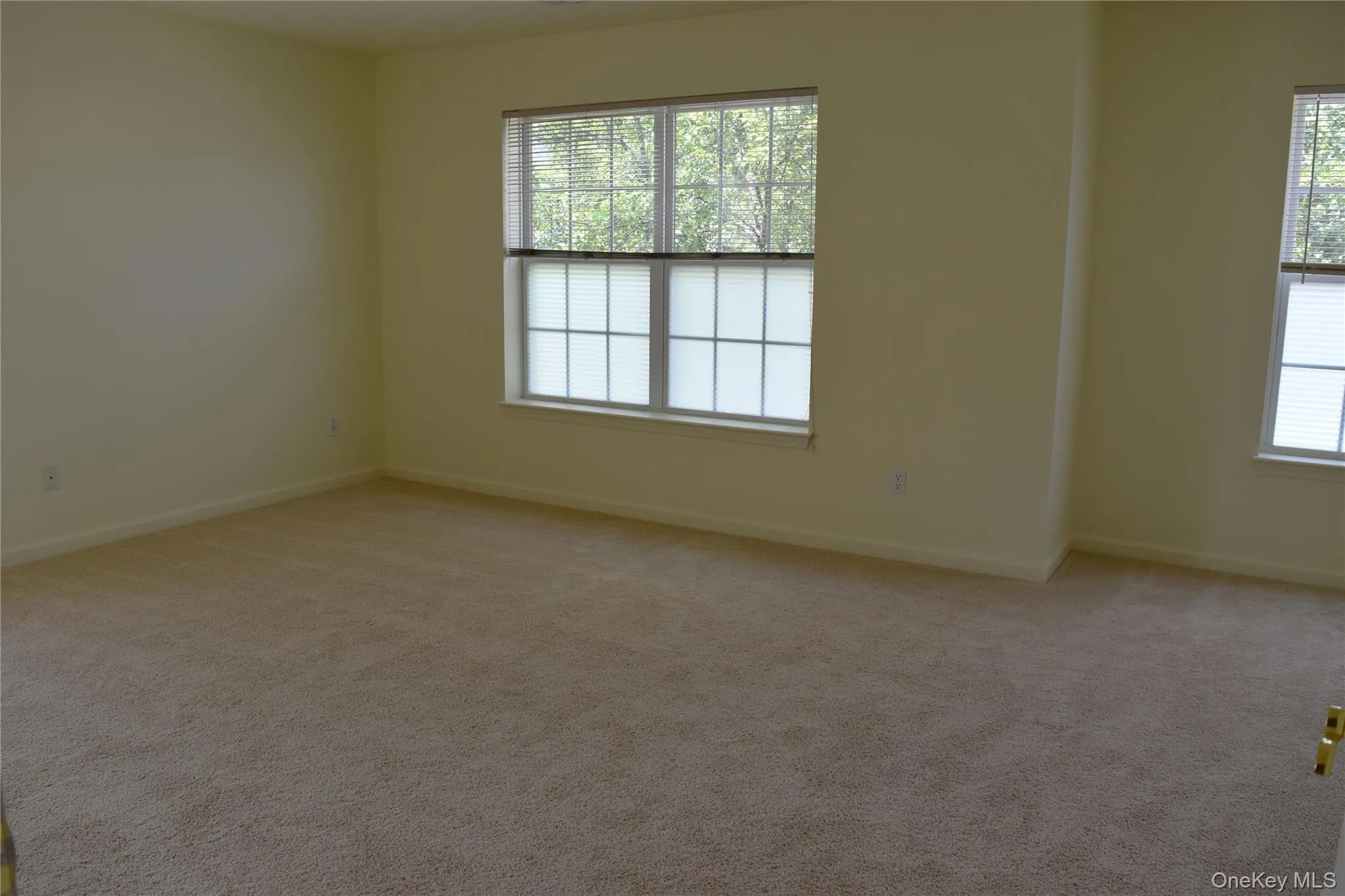 1165 Maggie Road, Newburgh (town), NY, 2 Bedrooms Bedrooms, 4 Rooms Rooms,2 BathroomsBathrooms,Residential Lease,For Rent,Maggie,0,1027562 1165 Maggie Road, Newburgh (town), NY, 2 Bedrooms Bedrooms, 4 Rooms Rooms,2 BathroomsBathrooms,Residential Lease,For Rent,Maggie,0,1027562
