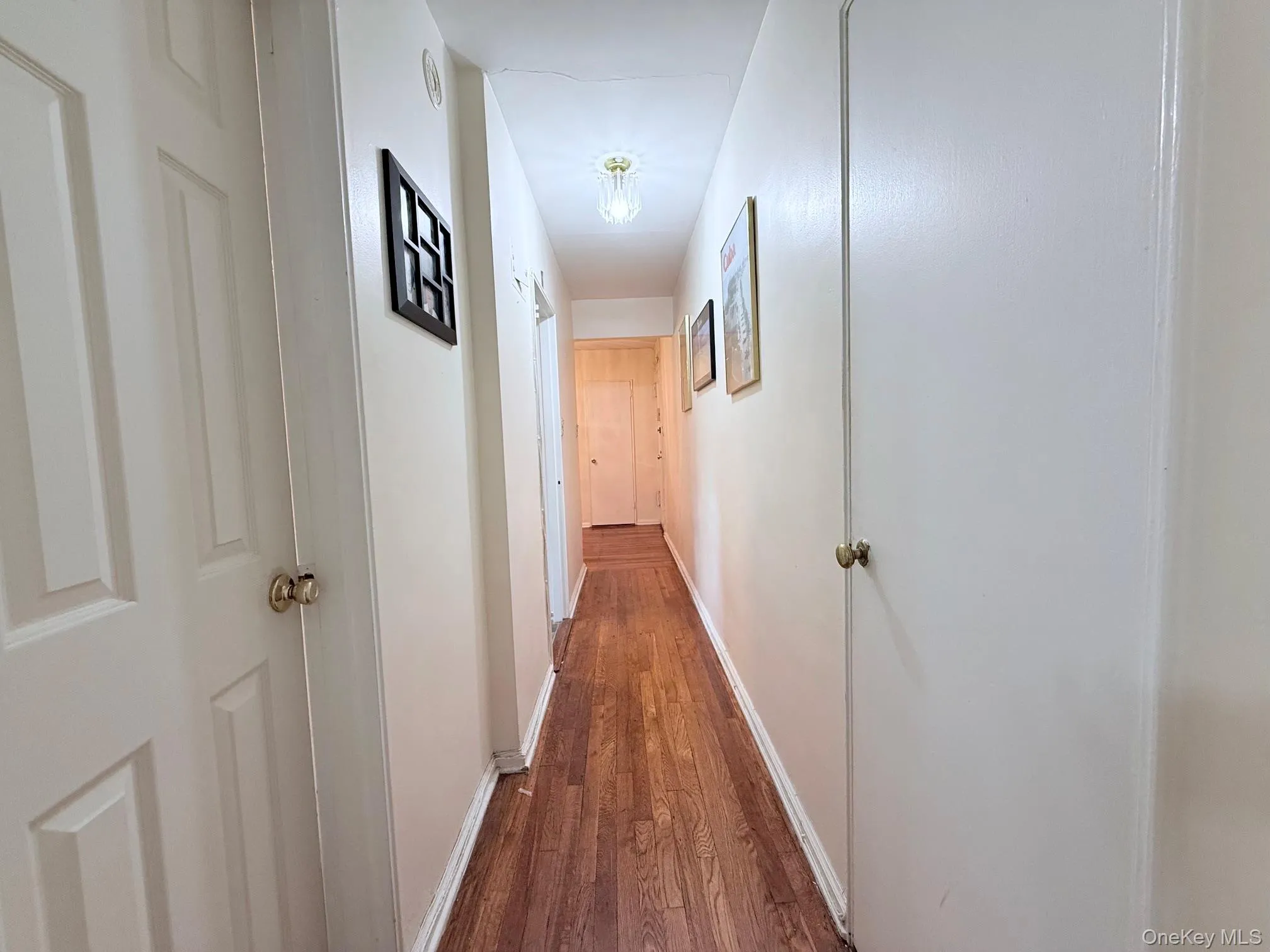 83-20 98 Street, New York, NY, 1 Bedroom Bedrooms, 3 Rooms Rooms,1 BathroomBathrooms,Residential,For Rent,98,0,1027568 83-20 98 Street, New York, NY, 1 Bedroom Bedrooms, 3 Rooms Rooms,1 BathroomBathrooms,Residential,For Rent,98,0,1027568