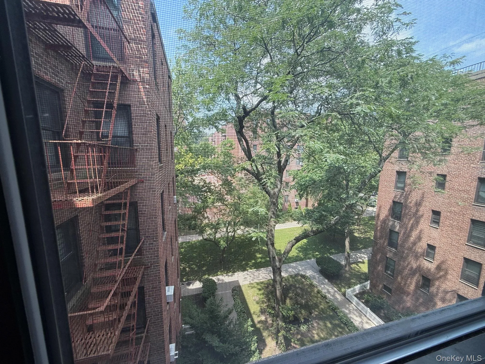 83-20 98 Street, New York, NY, 1 Bedroom Bedrooms, 3 Rooms Rooms,1 BathroomBathrooms,Residential,For Rent,98,0,1027568 83-20 98 Street, New York, NY, 1 Bedroom Bedrooms, 3 Rooms Rooms,1 BathroomBathrooms,Residential,For Rent,98,0,1027568