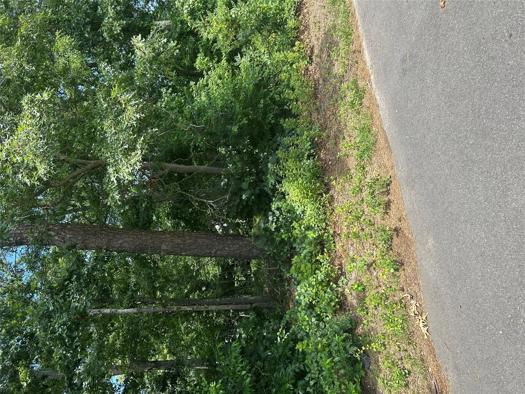 v/l Main Avenue, Brookhaven, NY, ,Land,For Rent,Main,0,1027610 v/l Main Avenue, Brookhaven, NY, ,Land,For Rent,Main,0,1027610