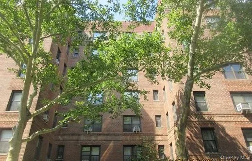 611 239th Street, New York, NY, 1 Bedroom Bedrooms, 3 Rooms Rooms,1 BathroomBathrooms,Residential,For Rent,239th,0,1027613 611 239th Street, New York, NY, 1 Bedroom Bedrooms, 3 Rooms Rooms,1 BathroomBathrooms,Residential,For Rent,239th,0,1027613