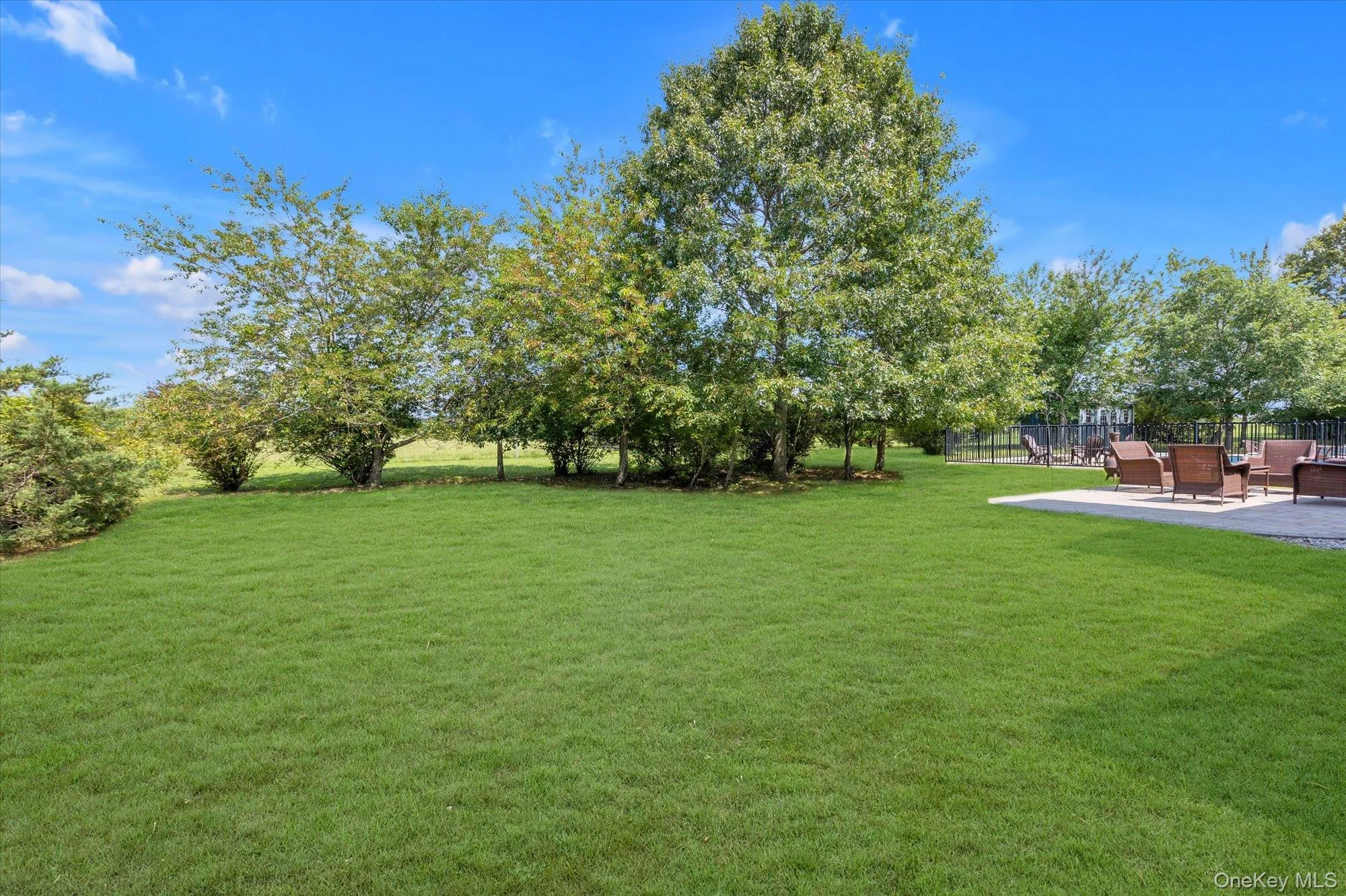 Expansive lawn area with mature trees and a paved patio Expansive lawn area with mature trees and a paved patio