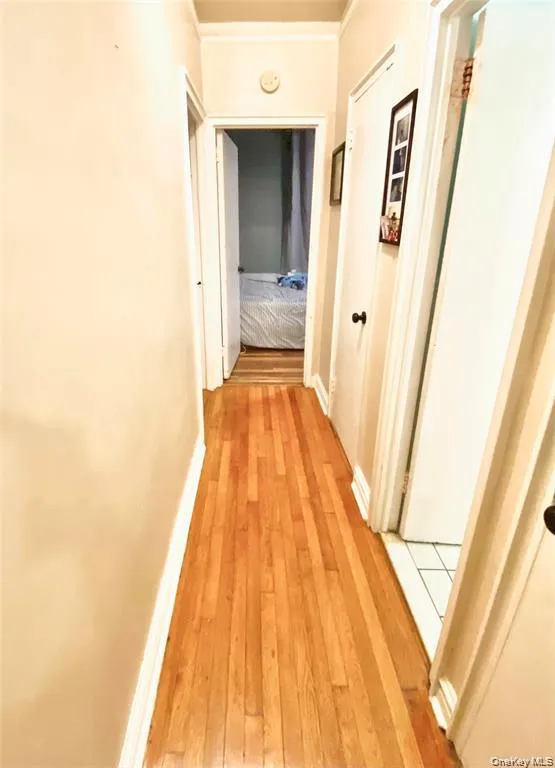 190 Mosholu Parkway, New York, NY, 3 Bedrooms Bedrooms, 5 Rooms Rooms,2 BathroomsBathrooms,Residential,For Rent,Mosholu,0,1027673 190 Mosholu Parkway, New York, NY, 3 Bedrooms Bedrooms, 5 Rooms Rooms,2 BathroomsBathrooms,Residential,For Rent,Mosholu,0,1027673