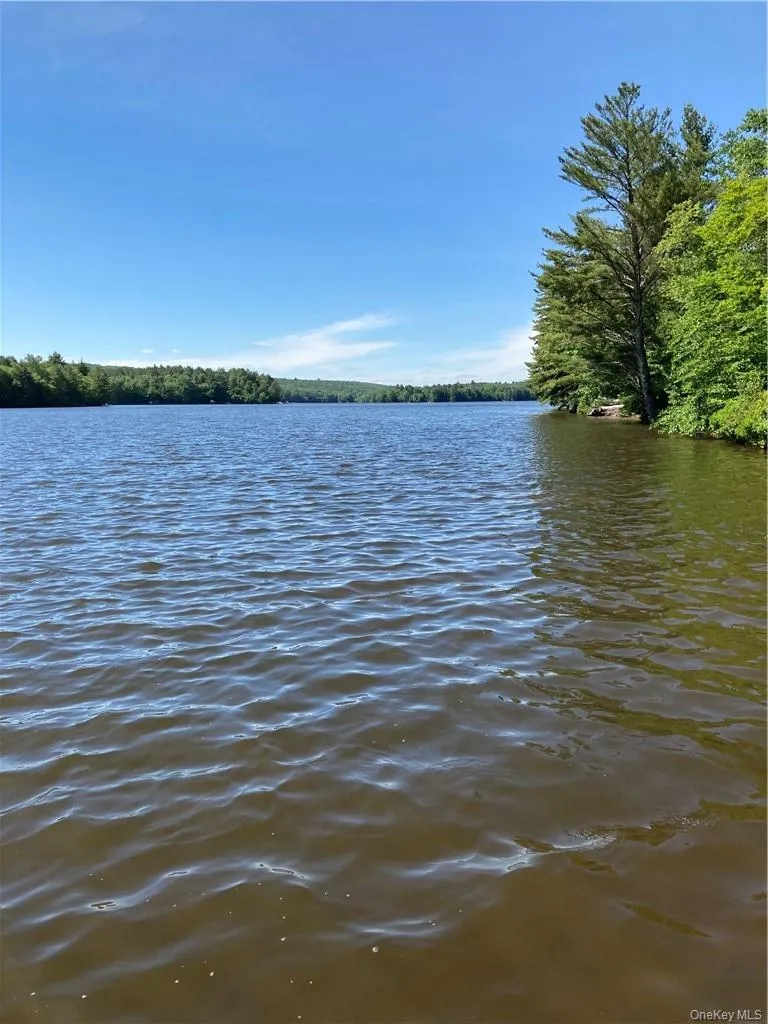 Plank Road Forestburg New York, Forestburgh, NY, ,Land,For Rent,Plank Road Forestburg New York,0,1027675 Plank Road Forestburg New York, Forestburgh, NY, ,Land,For Rent,Plank Road Forestburg New York,0,1027675