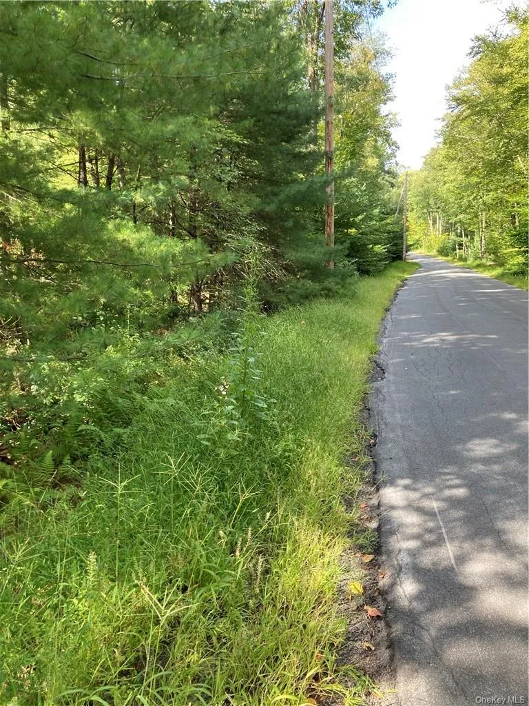 Plank Road Forestburg New York, Forestburgh, NY, ,Land,For Rent,Plank Road Forestburg New York,0,1027675 Plank Road Forestburg New York, Forestburgh, NY, ,Land,For Rent,Plank Road Forestburg New York,0,1027675