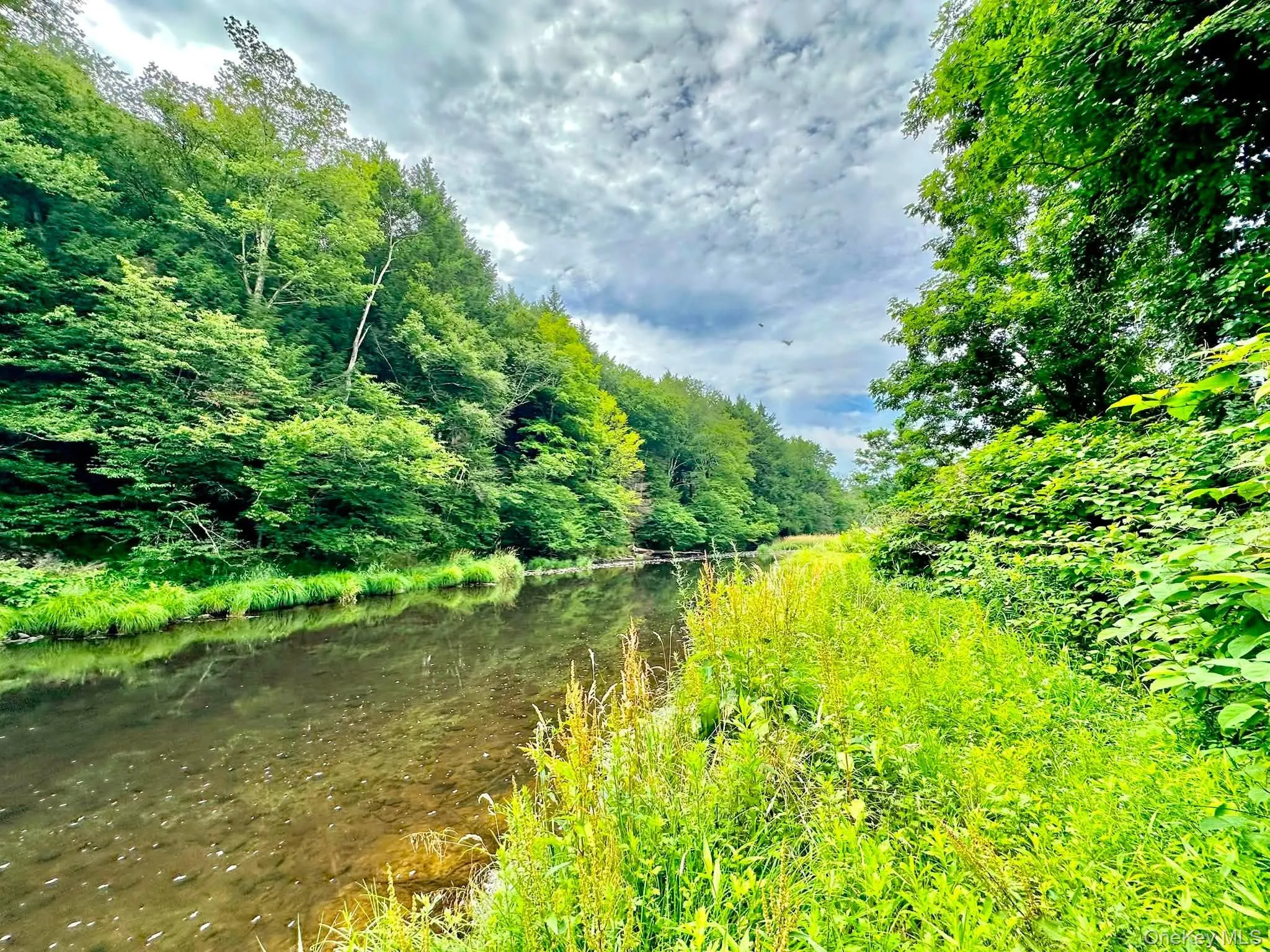 5089 State Route 52, Delaware, NY, 3 Bedrooms Bedrooms, 6 Rooms Rooms,2 BathroomsBathrooms,Residential,For Rent,State Route 52,0,1027722 5089 State Route 52, Delaware, NY, 3 Bedrooms Bedrooms, 6 Rooms Rooms,2 BathroomsBathrooms,Residential,For Rent,State Route 52,0,1027722